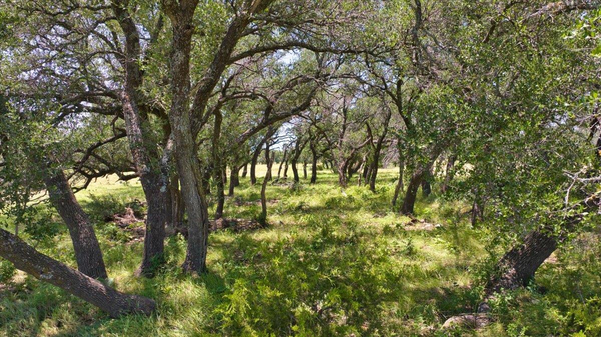 445 PR 587 Pr, Brady, TX 76825