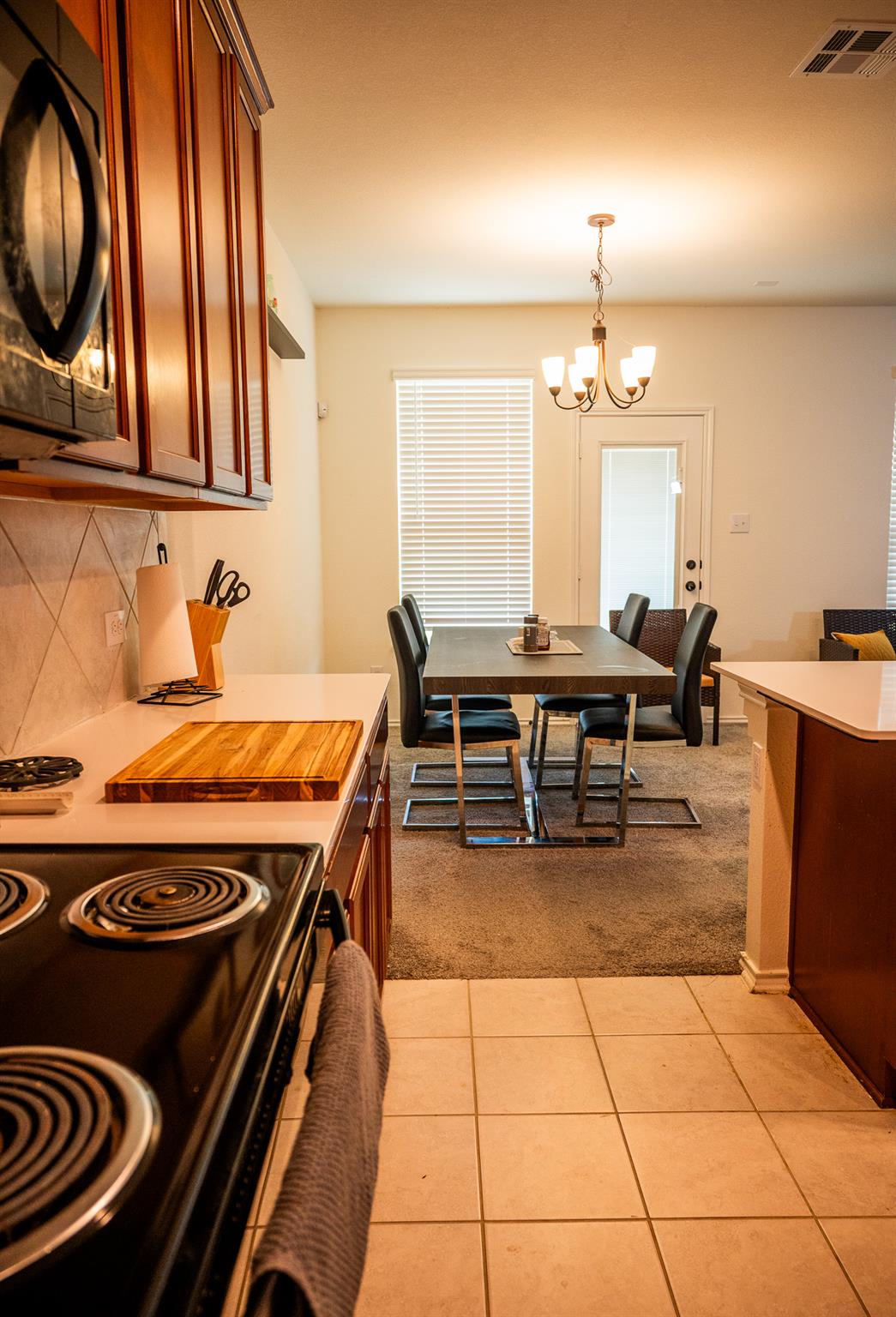 13808 Eleanor Roosevelt St, Manor, TX 78653