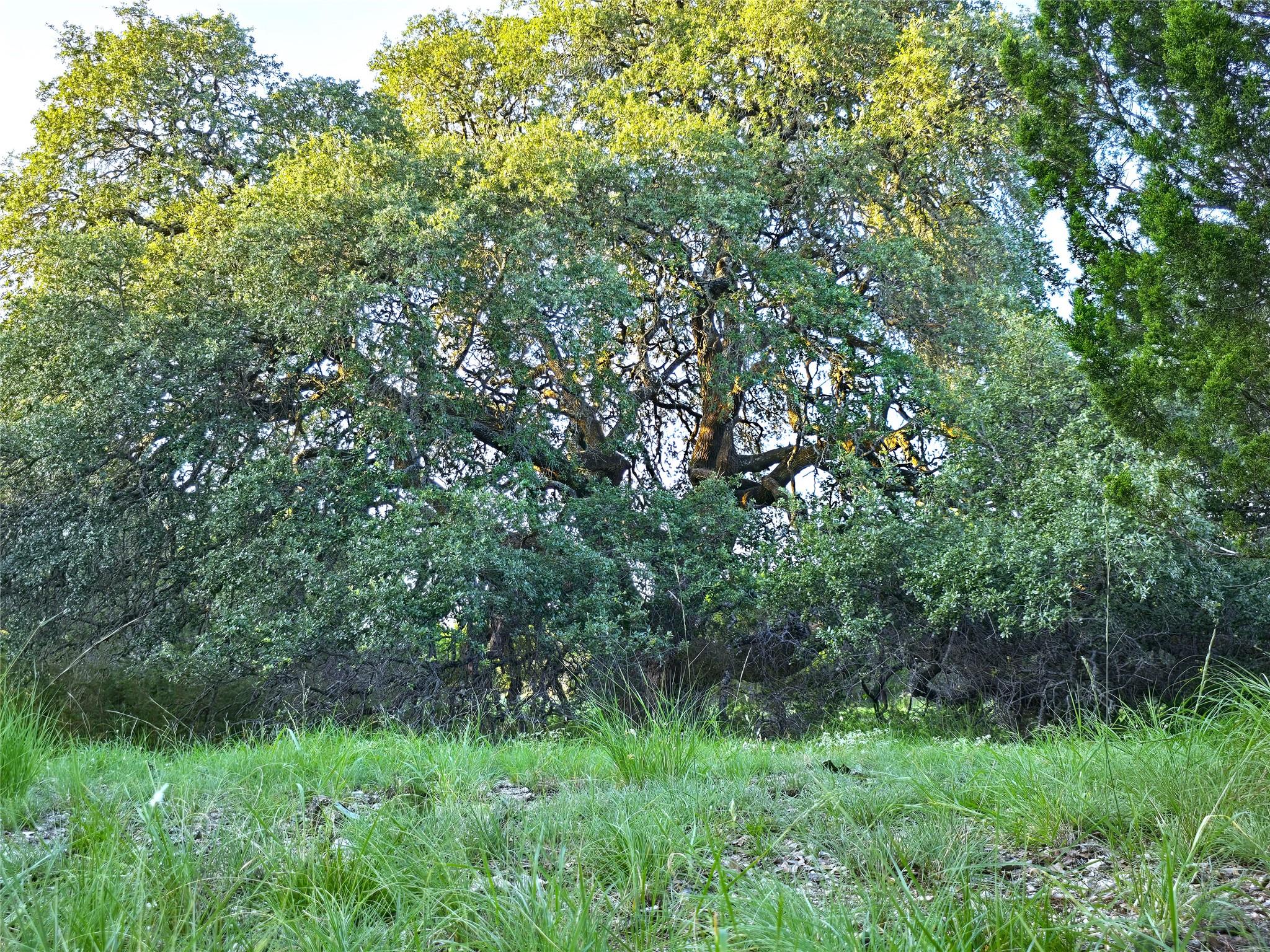 725 CR 206, Lampasas, TX 76550