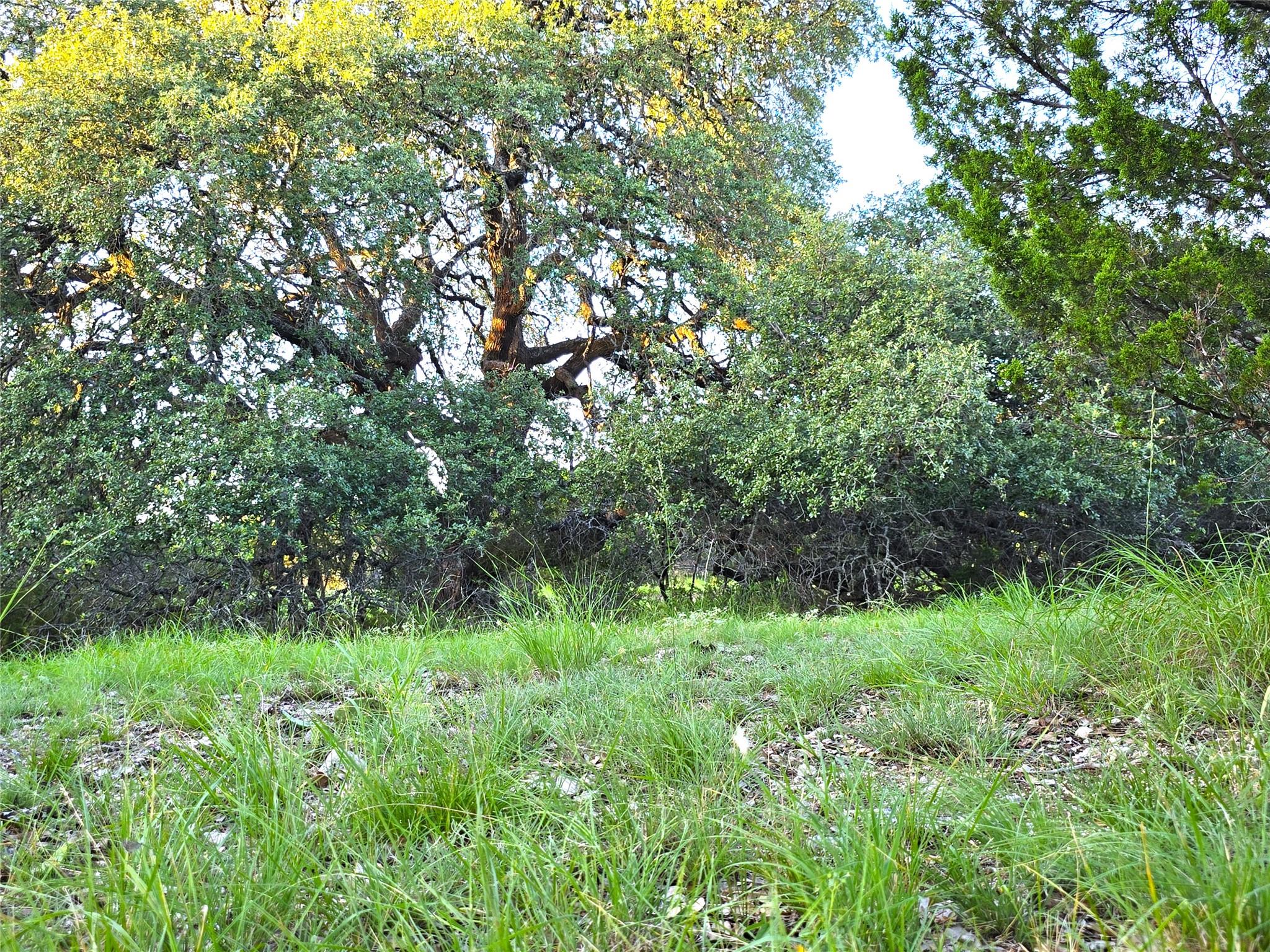 725 CR 206, Lampasas, TX 76550