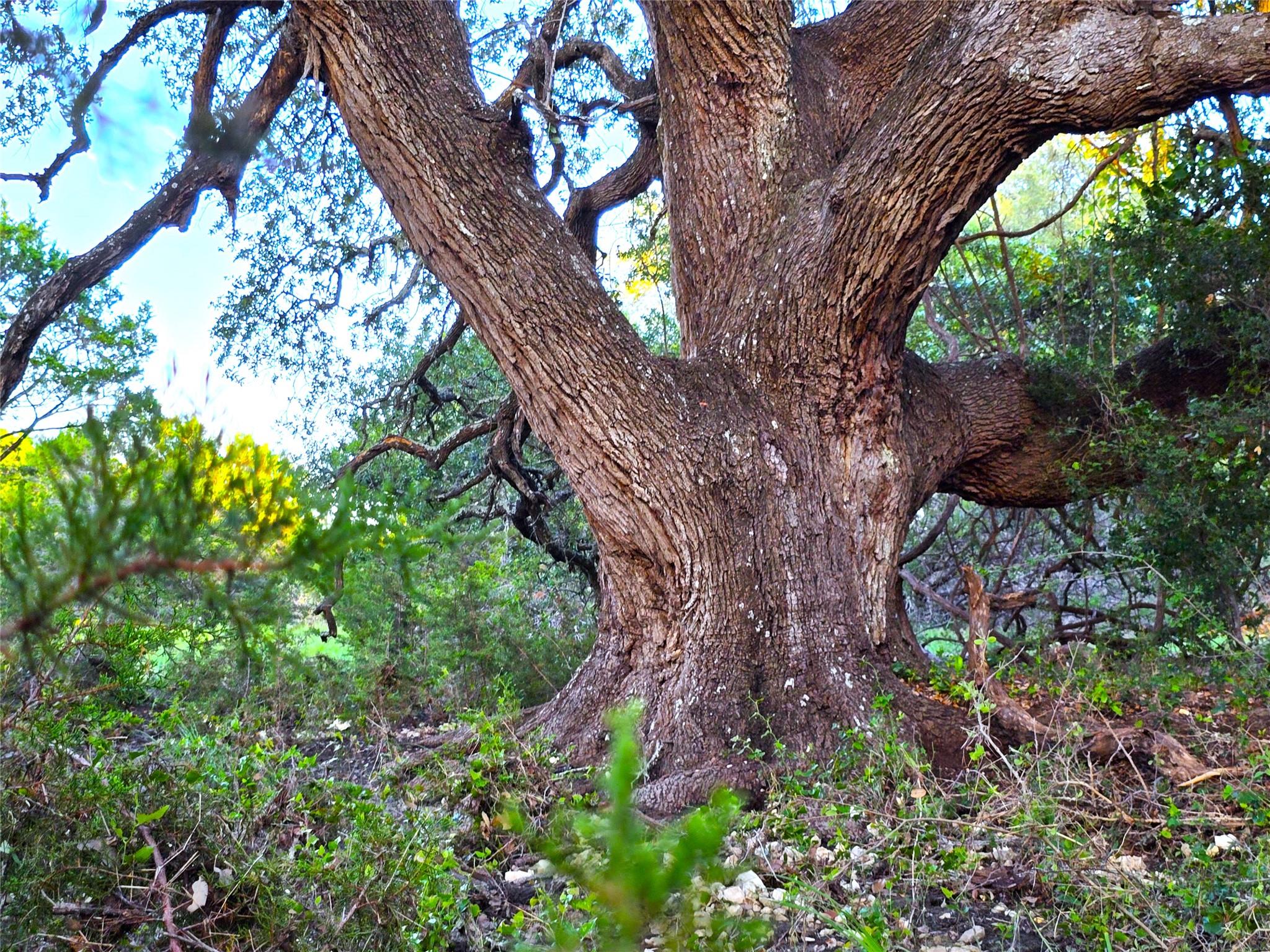 725 CR 206, Lampasas, TX 76550