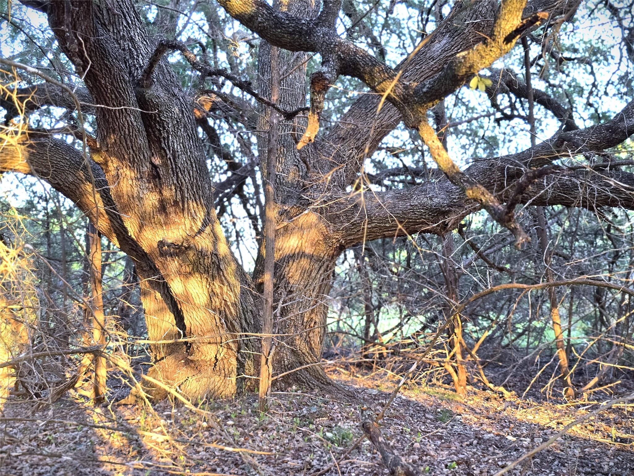 725 CR 206, Lampasas, TX 76550