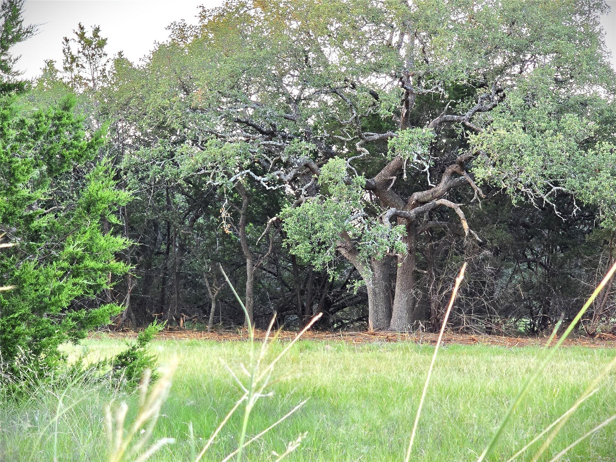 725 CR 206, Lampasas, TX 76550