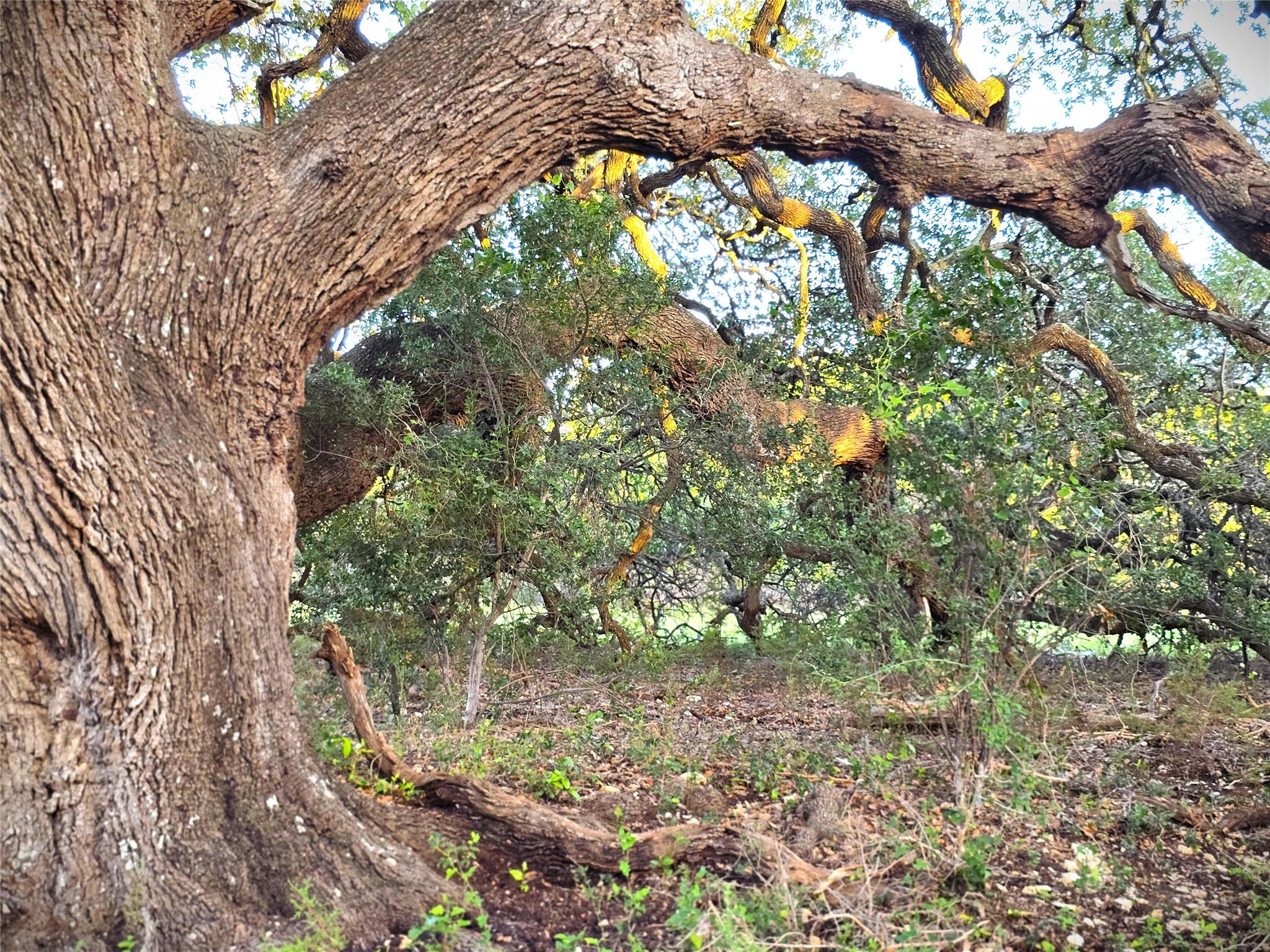 725 CR 206, Lampasas, TX 76550