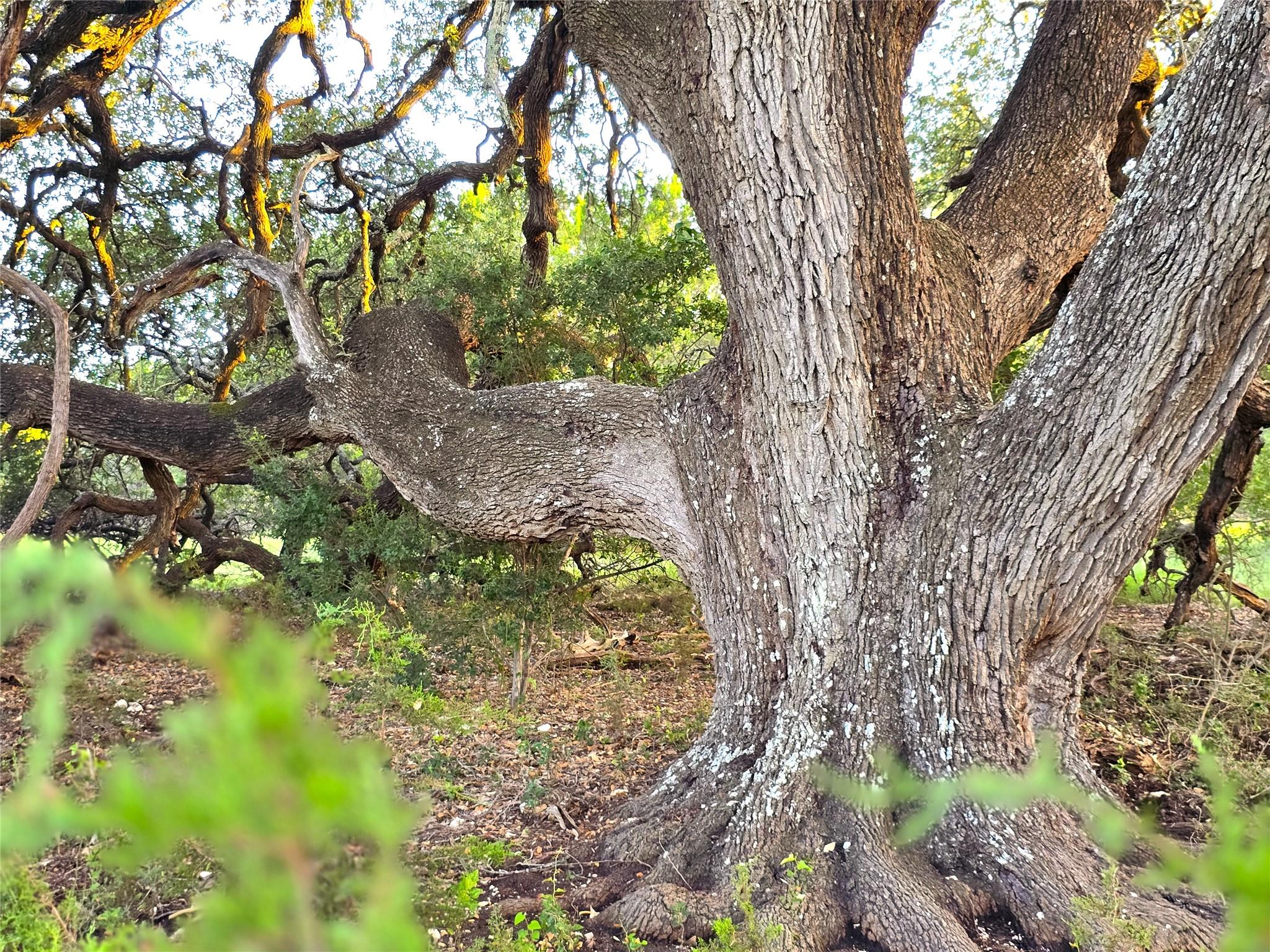 725 CR 206, Lampasas, TX 76550