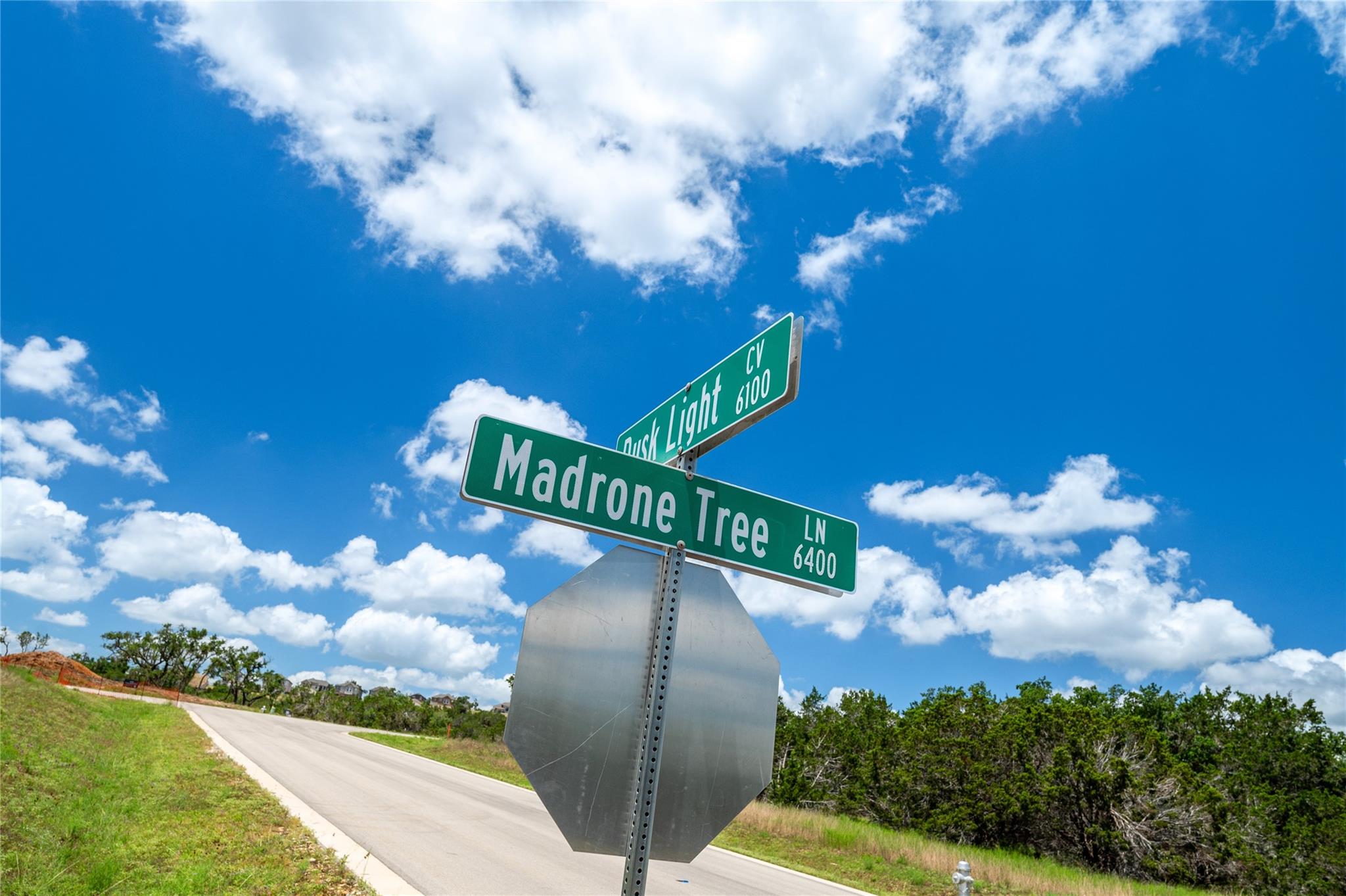 6413 Madrone Tree Ln, Austin, TX 78738