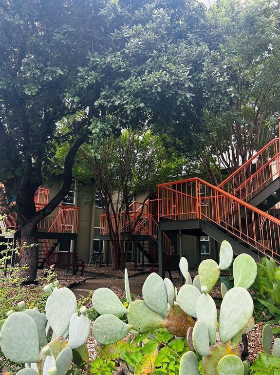 808 Winflo # 101, Austin, TX 78703