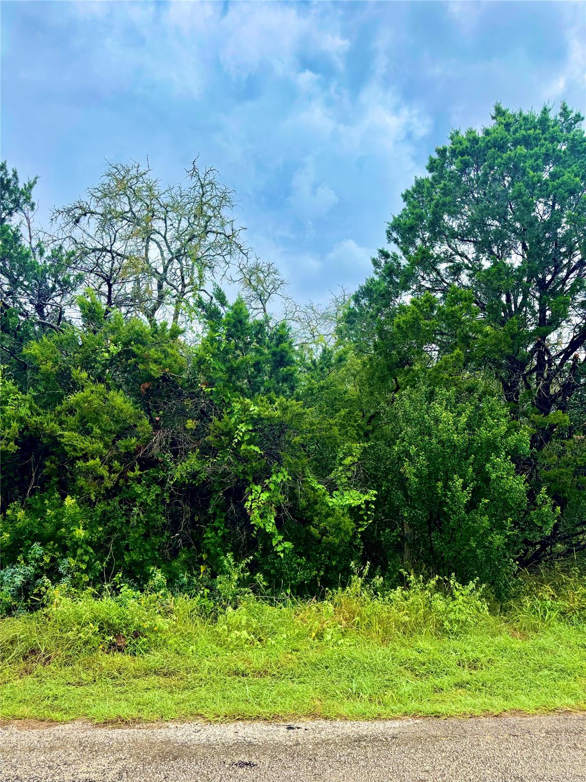 TBD Tracts 10 & 22 Goat Hill Rd, Lakehills, TX 78063