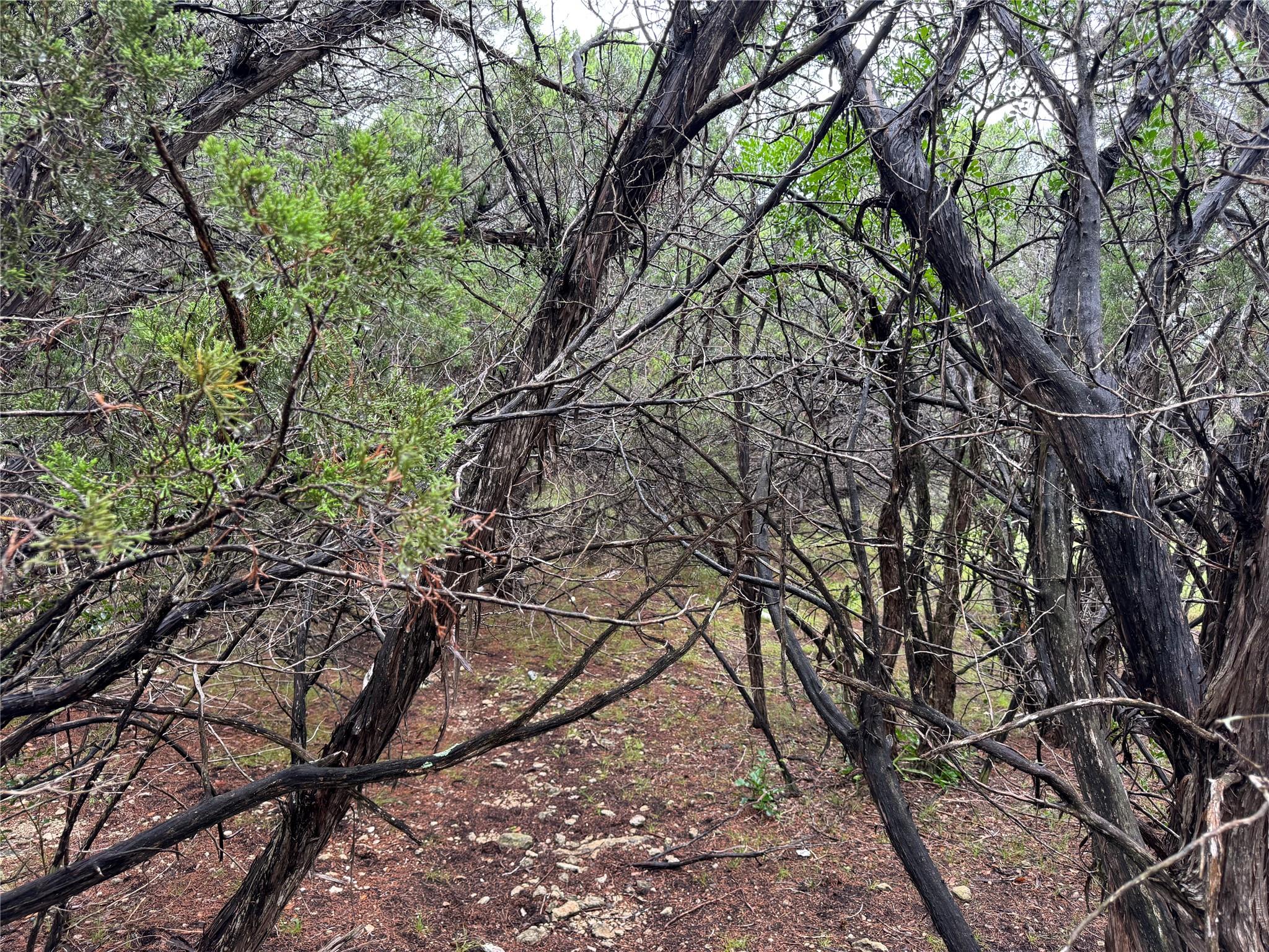 TBD Tracts 10 & 22 Goat Hill Rd, Lakehills, TX 78063