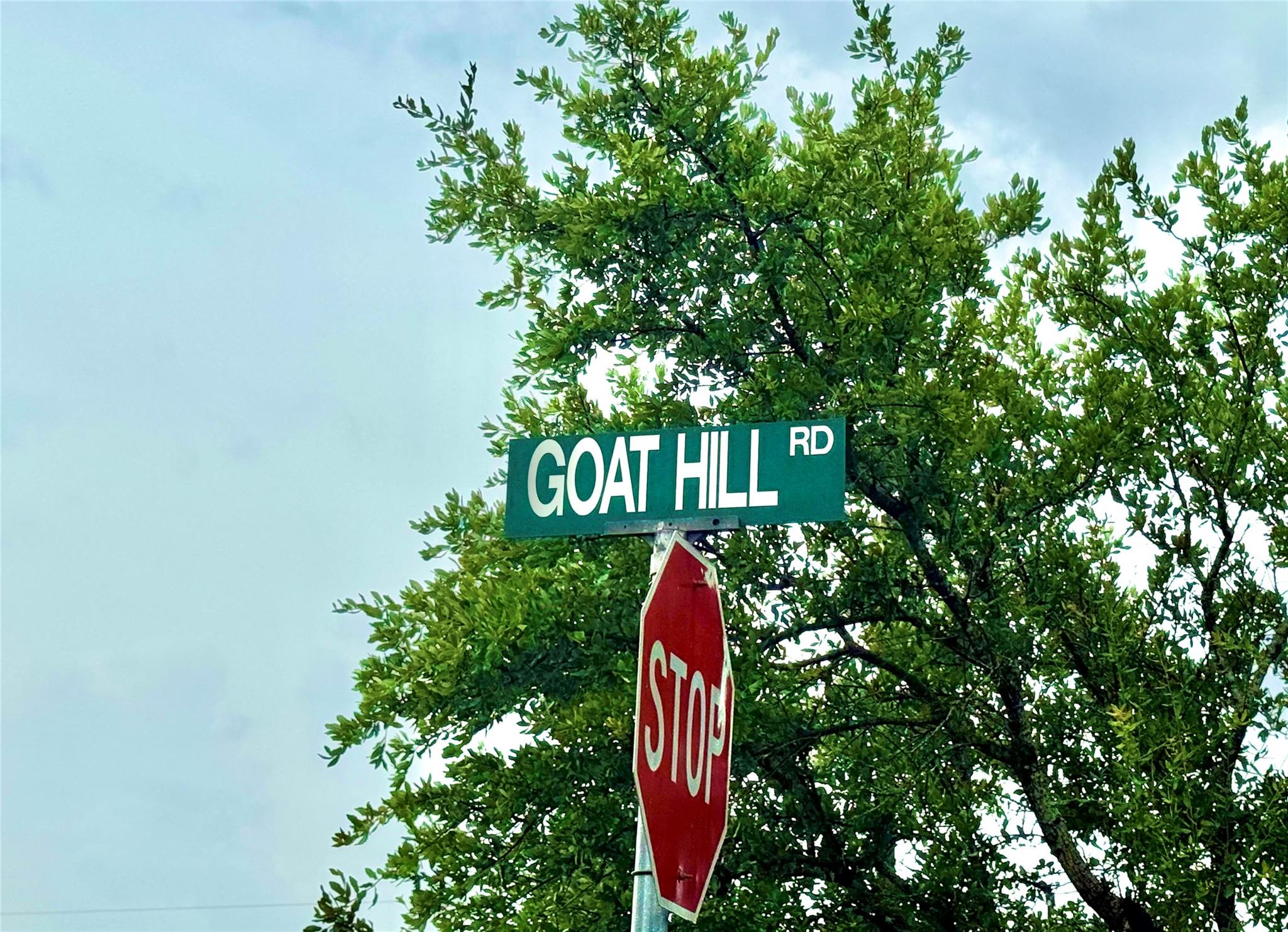 TBD Tracts 10 & 22 Goat Hill Rd, Lakehills, TX 78063