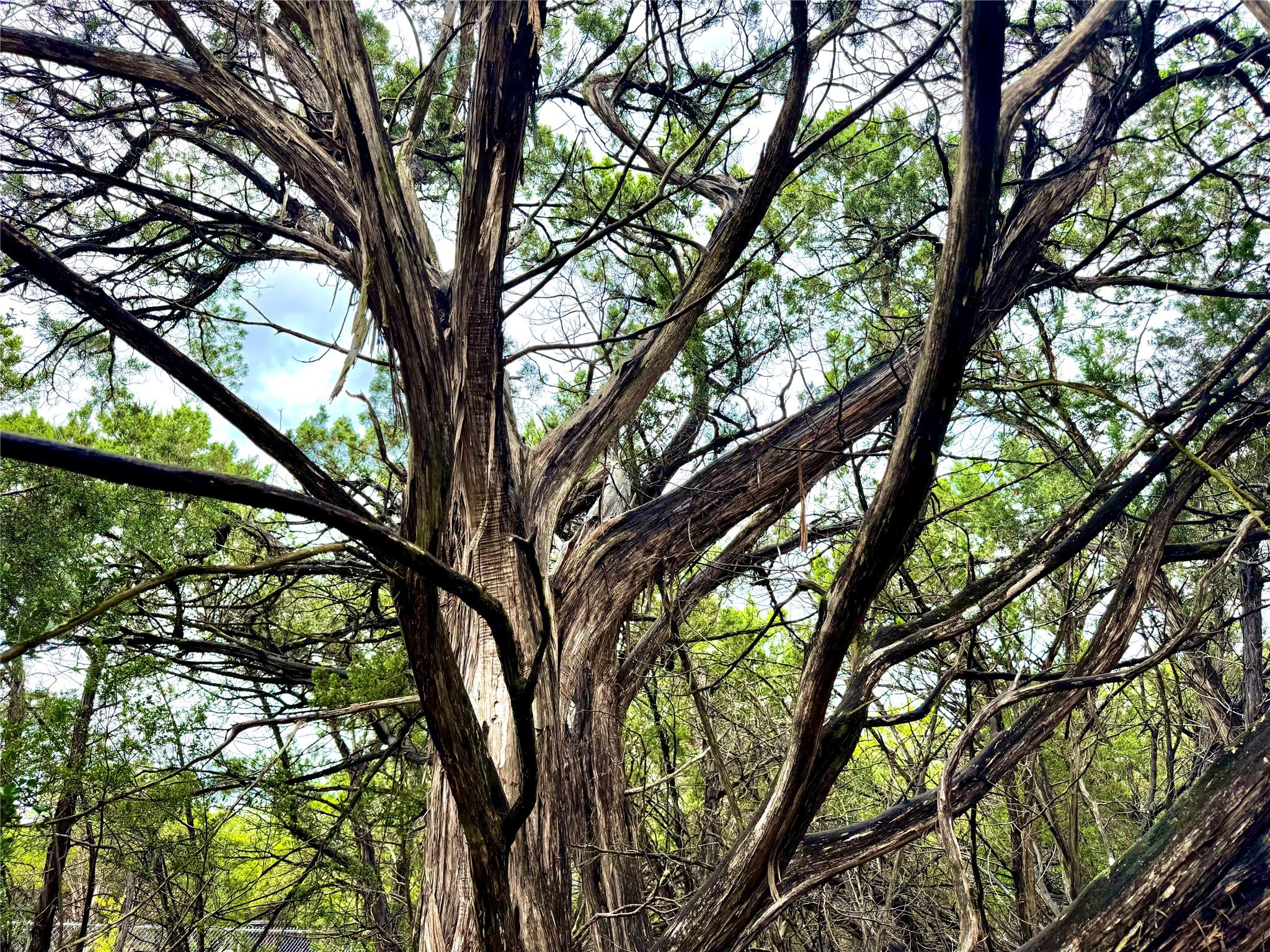 TBD Tracts 10 & 22 Goat Hill Rd, Lakehills, TX 78063