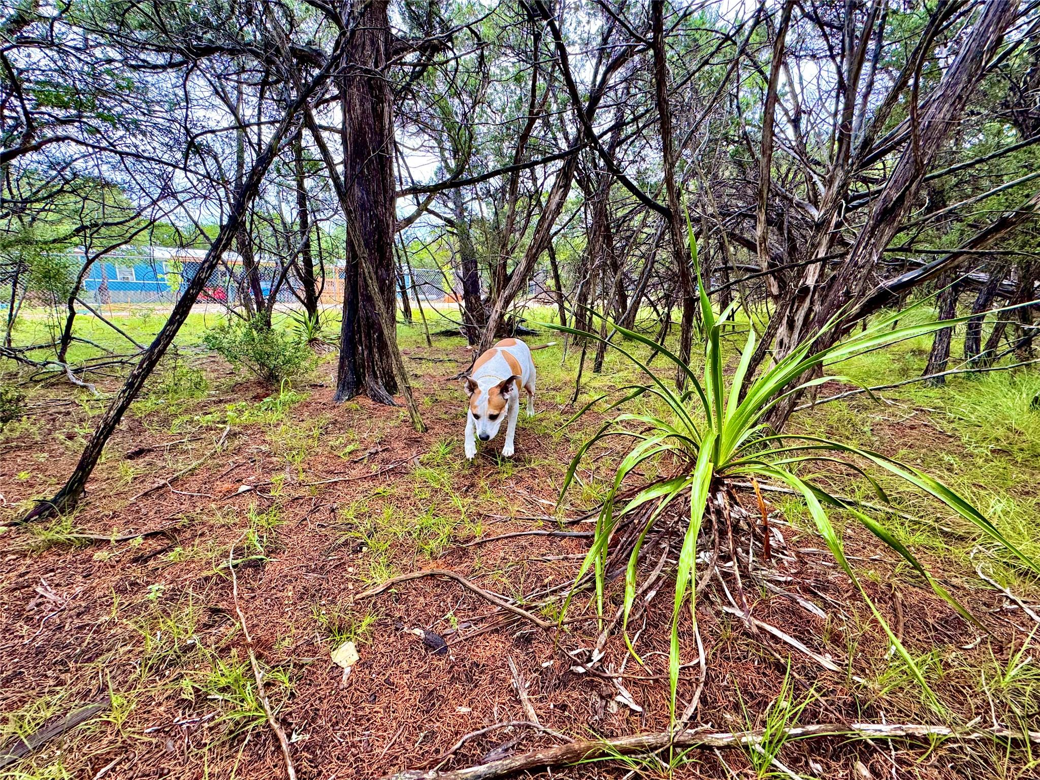 TBD Tracts 10 & 22 Goat Hill Rd, Lakehills, TX 78063