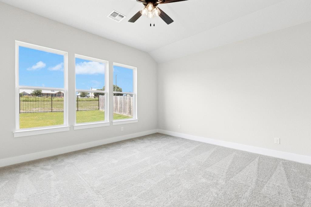 4516 Pleasant Pl, Round Rock, TX 78665