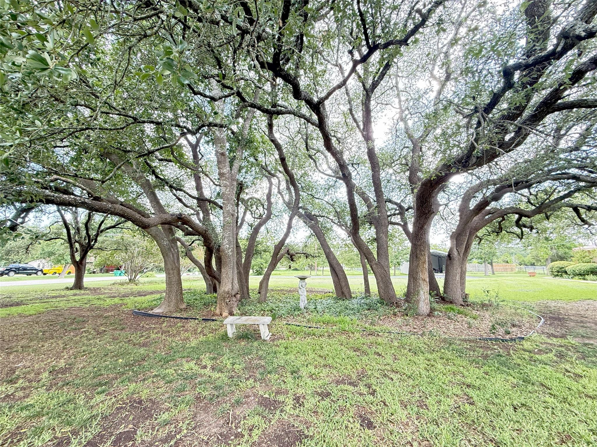 659 County Road 4744, Kempner, TX 76539