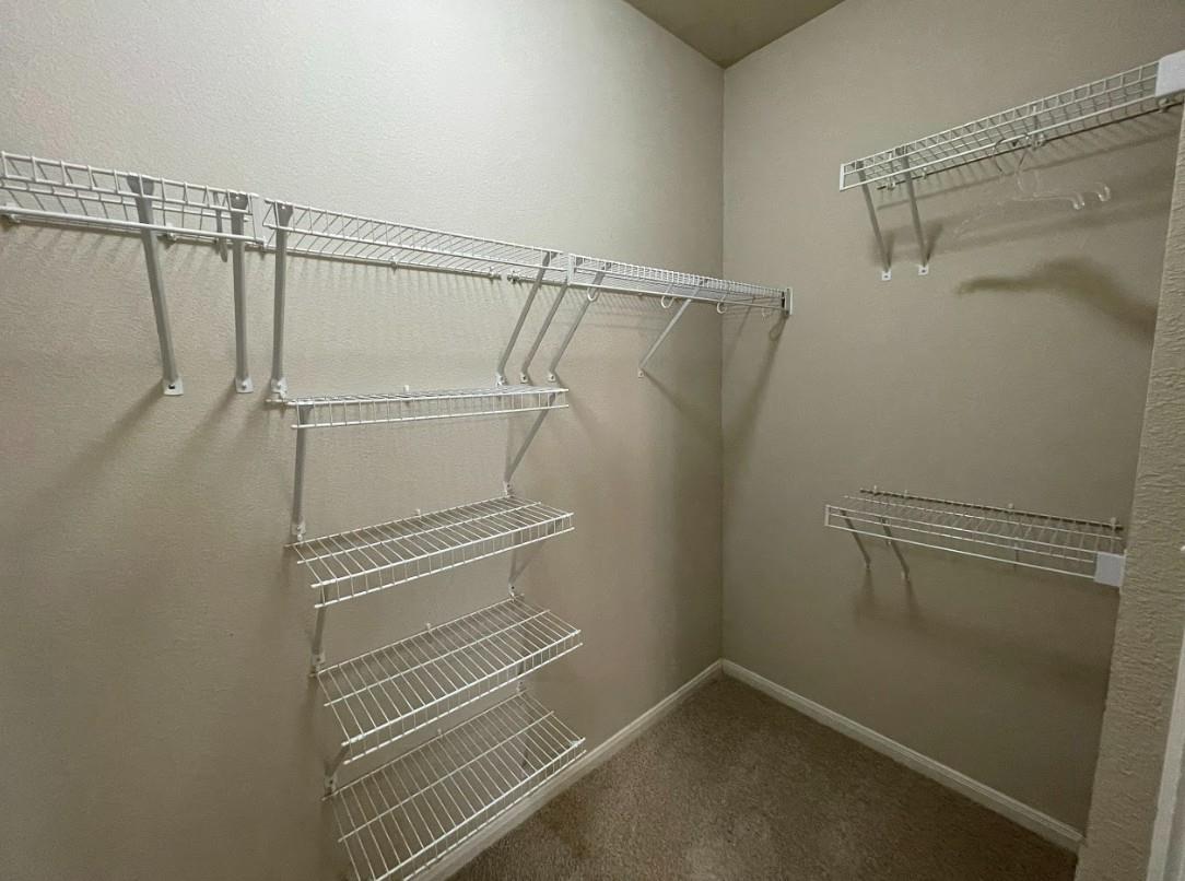 1118 Boxwood Loop, Georgetown, TX 78628