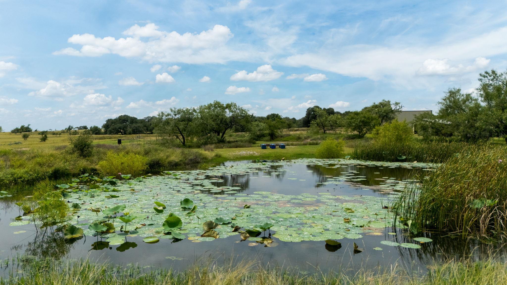 1620 Fm 107, Gatesville, TX 76528