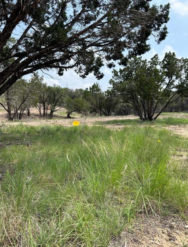 2500 Old Red Ranch Rd, Dripping Springs, TX 78620