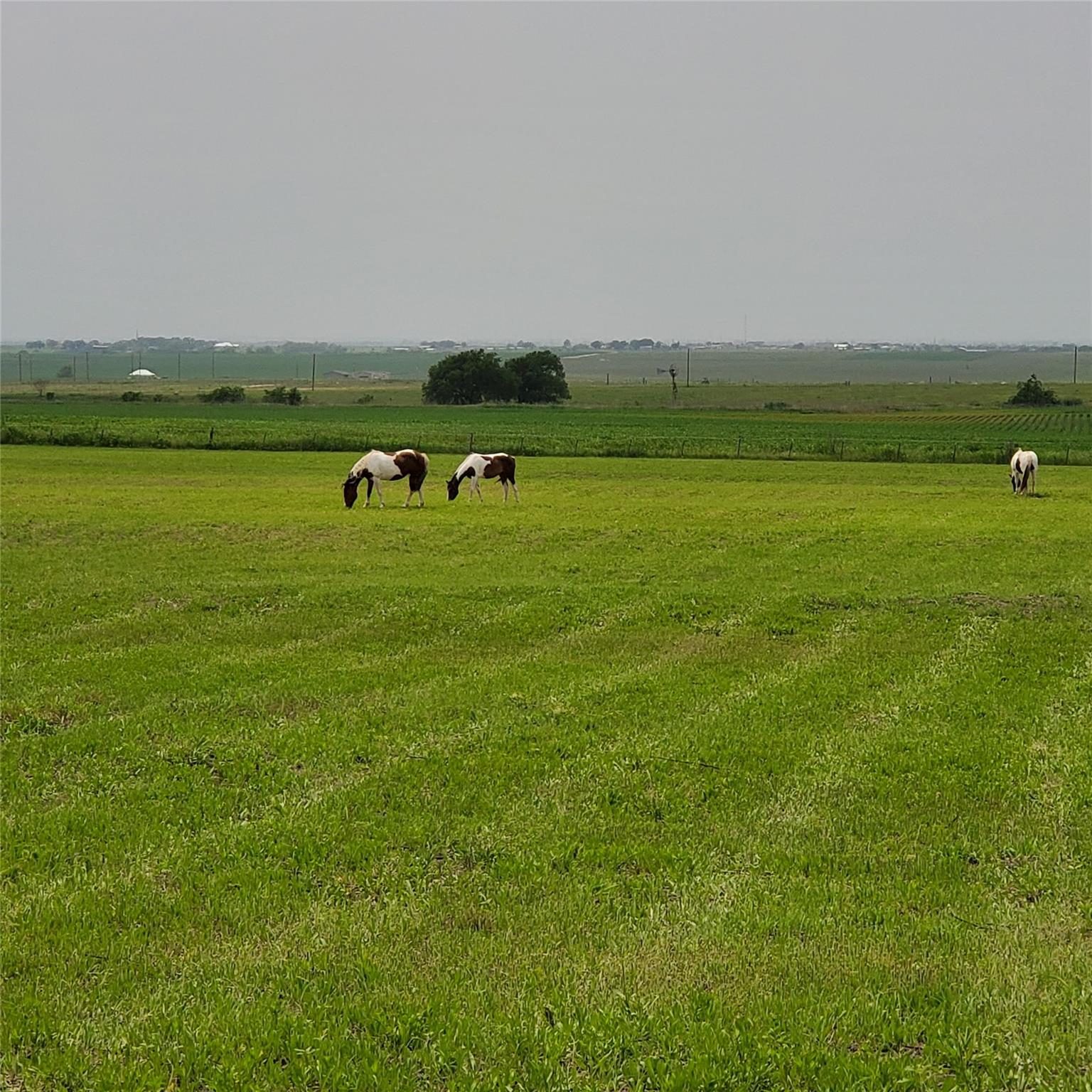 15620 Harry Lind Rd, Elgin, TX 78621