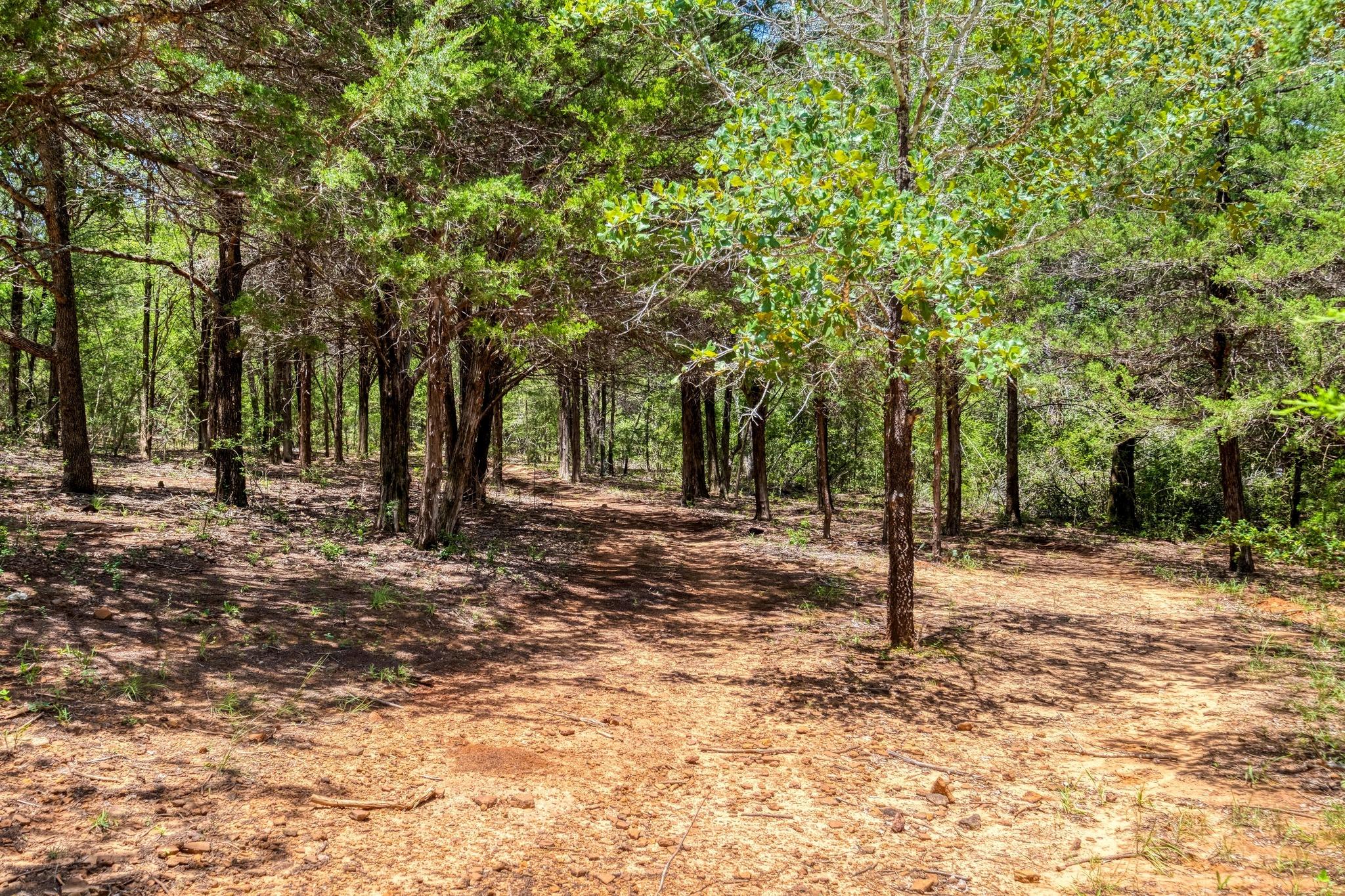 1922 E SH 21, Paige, TX 78659