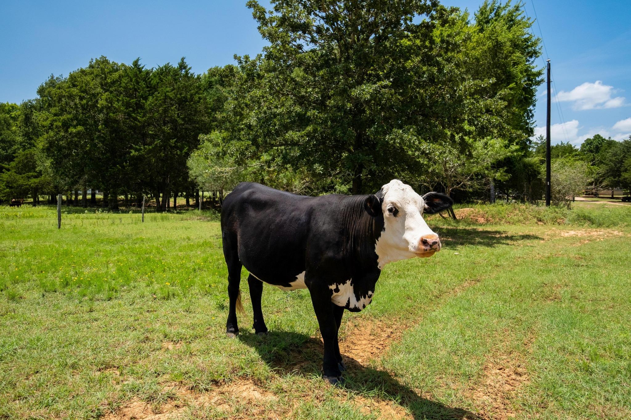 1922 E SH 21, Paige, TX 78659