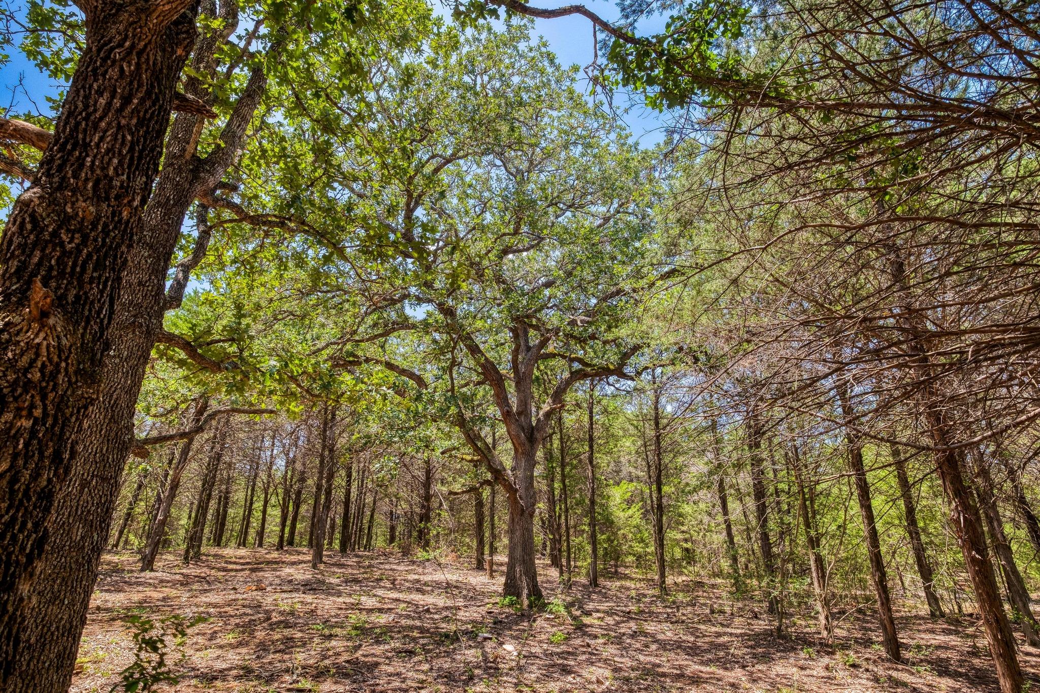 1922 E SH 21, Paige, TX 78659