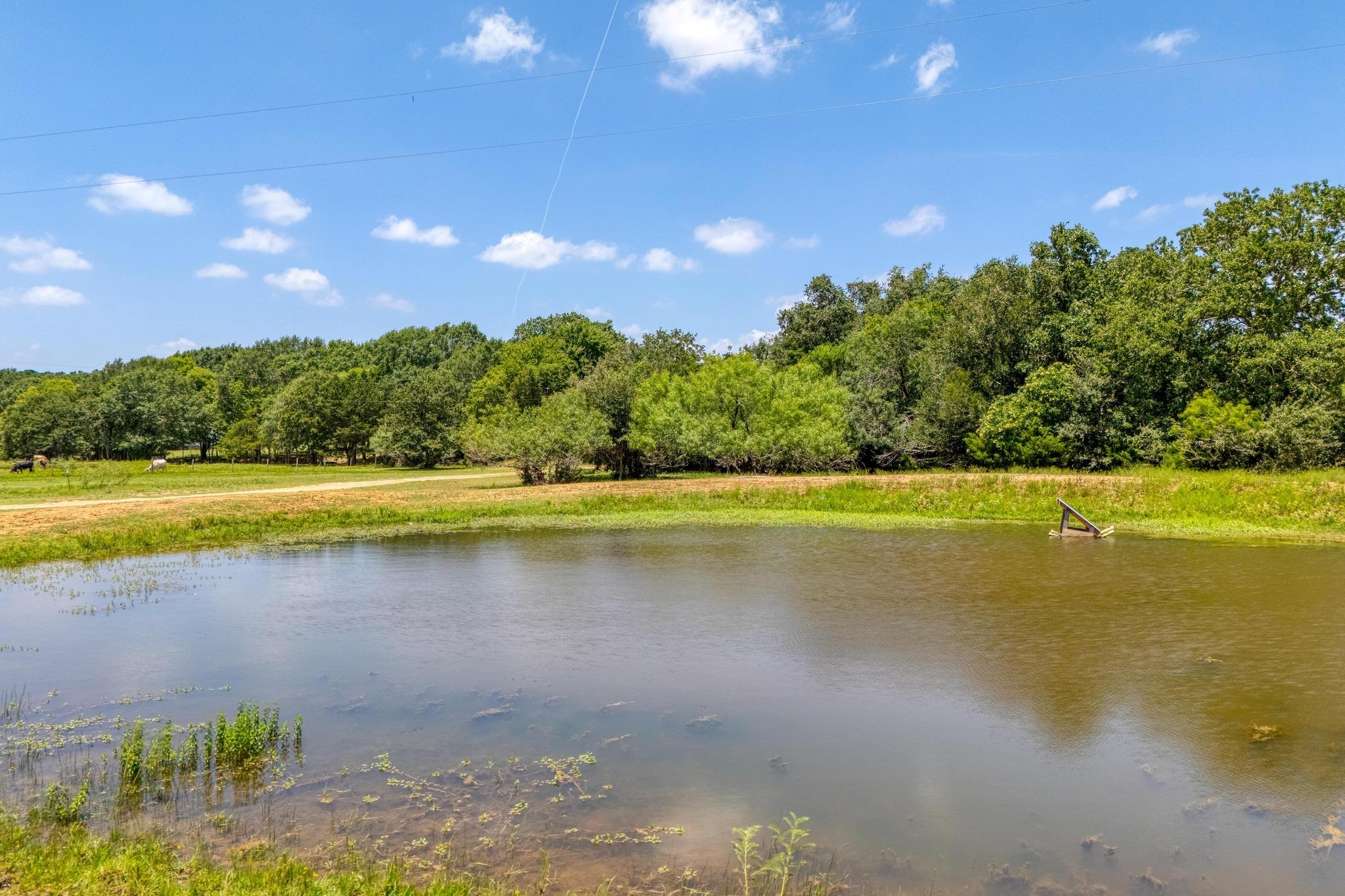 1922 E SH 21, Paige, TX 78659