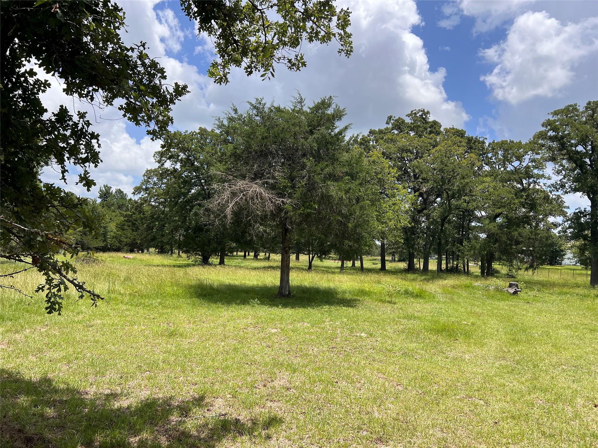 2.938 AC County Road 342, Milano, TX 76556