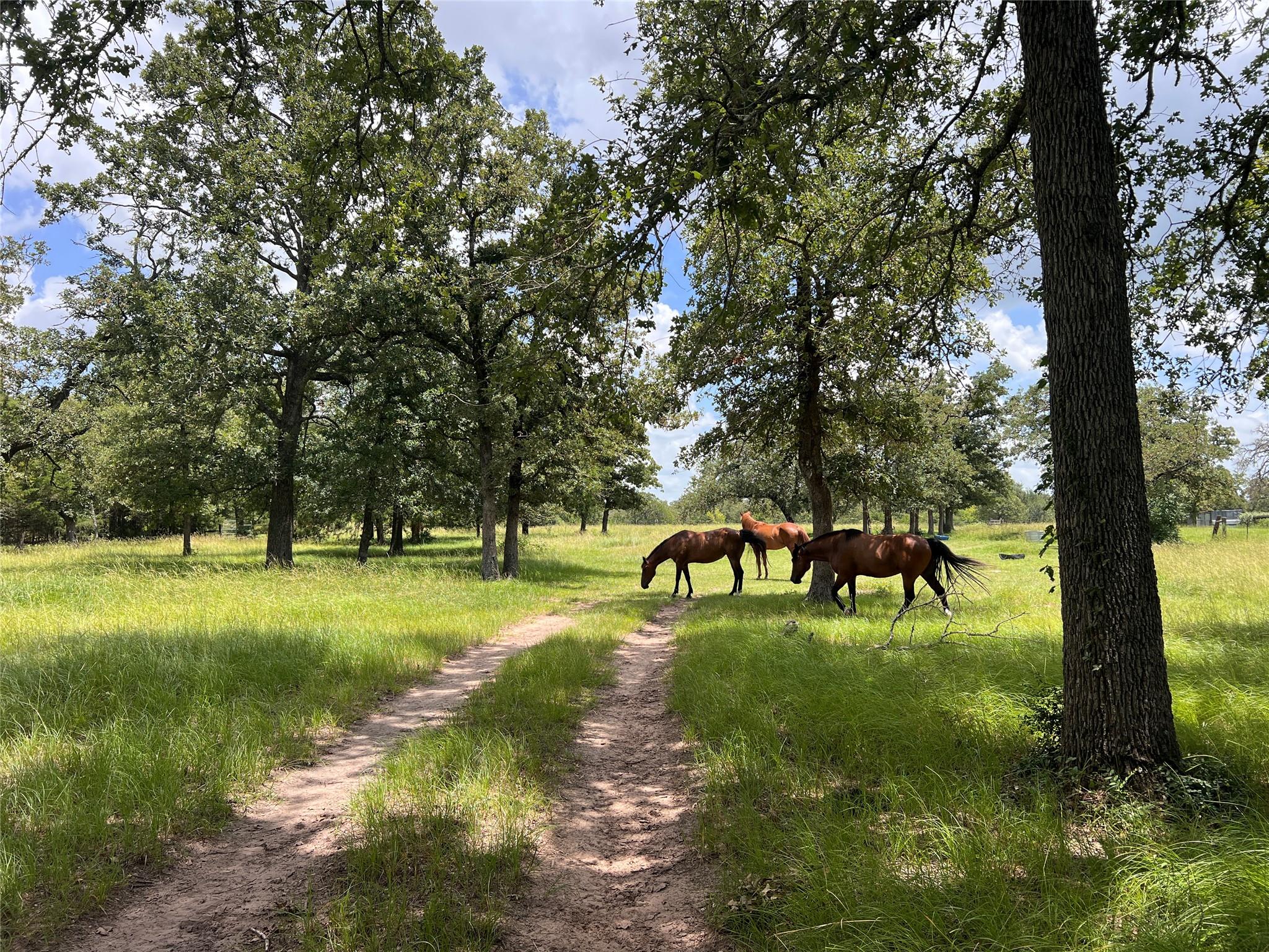 2.938 AC County Road 342, Milano, TX 76556