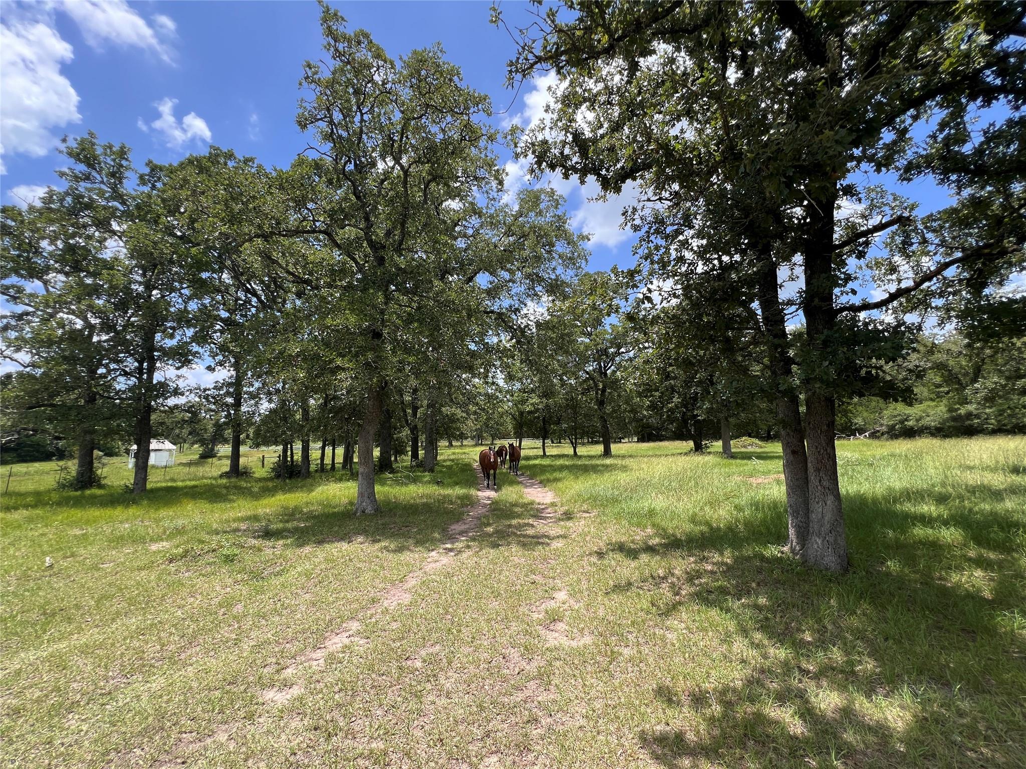 2.938 AC County Road 342, Milano, TX 76556