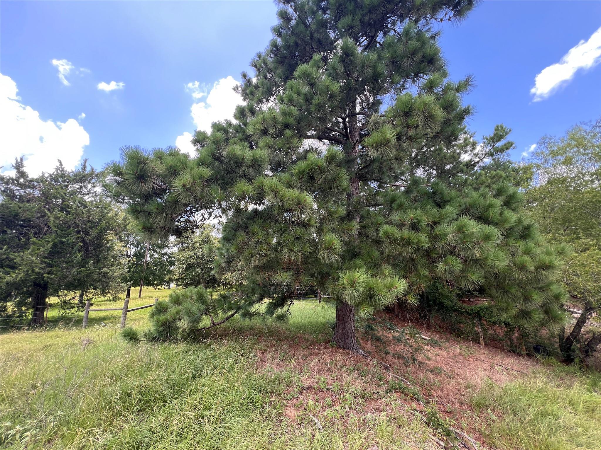 2.938 AC County Road 342, Milano, TX 76556