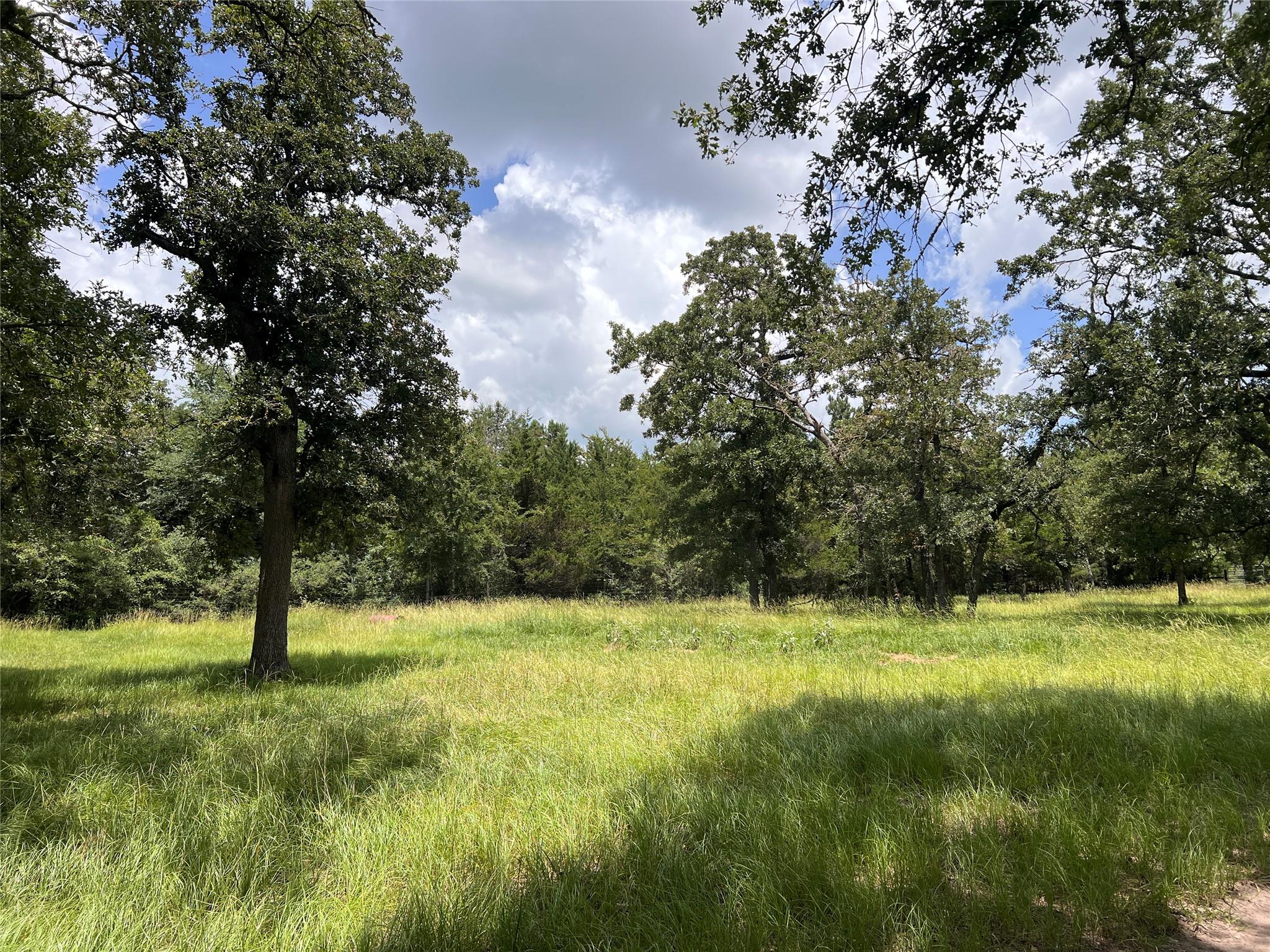 2.938 AC County Road 342, Milano, TX 76556