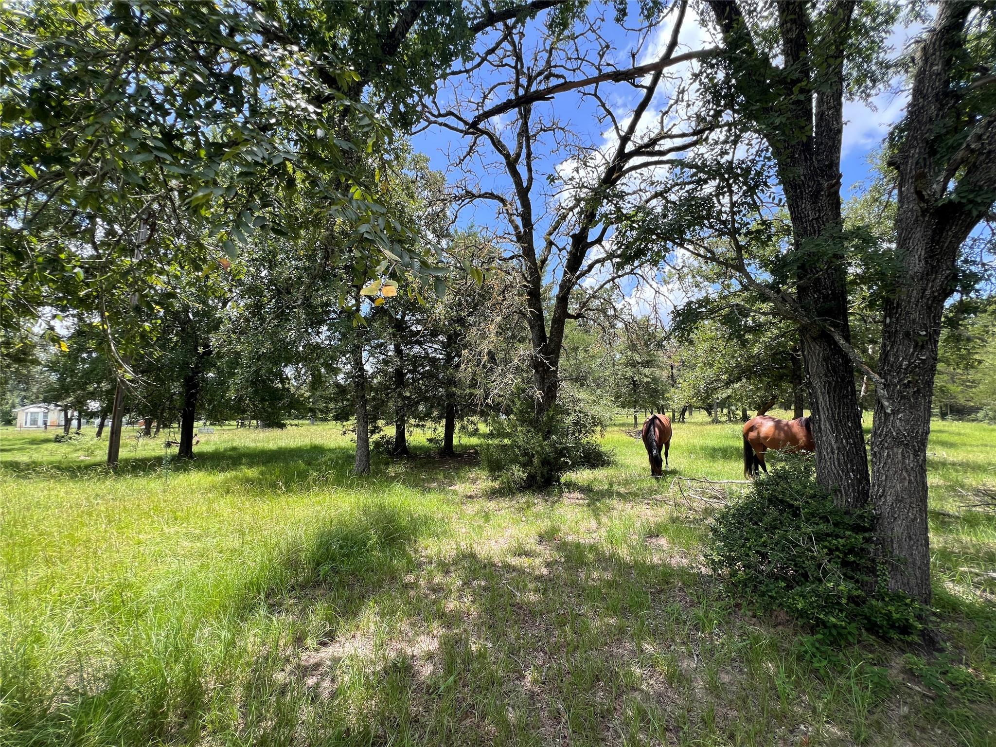 2.938 AC County Road 342, Milano, TX 76556