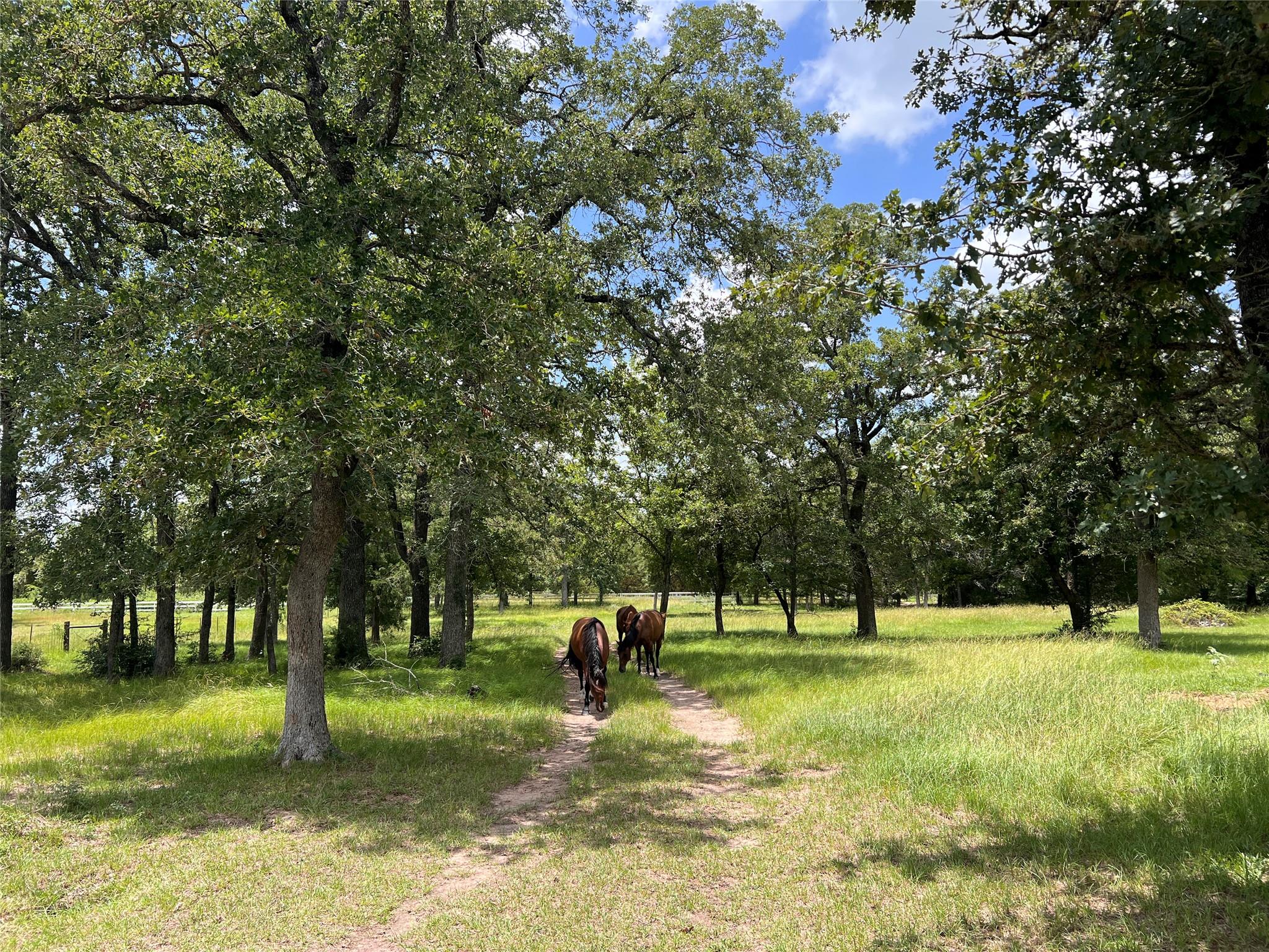 2.938 AC County Road 342, Milano, TX 76556
