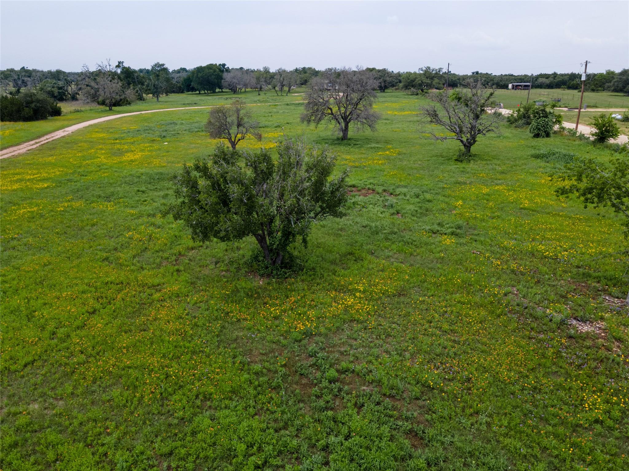 9050 Ranch Road 1869, Liberty Hill, TX 78642