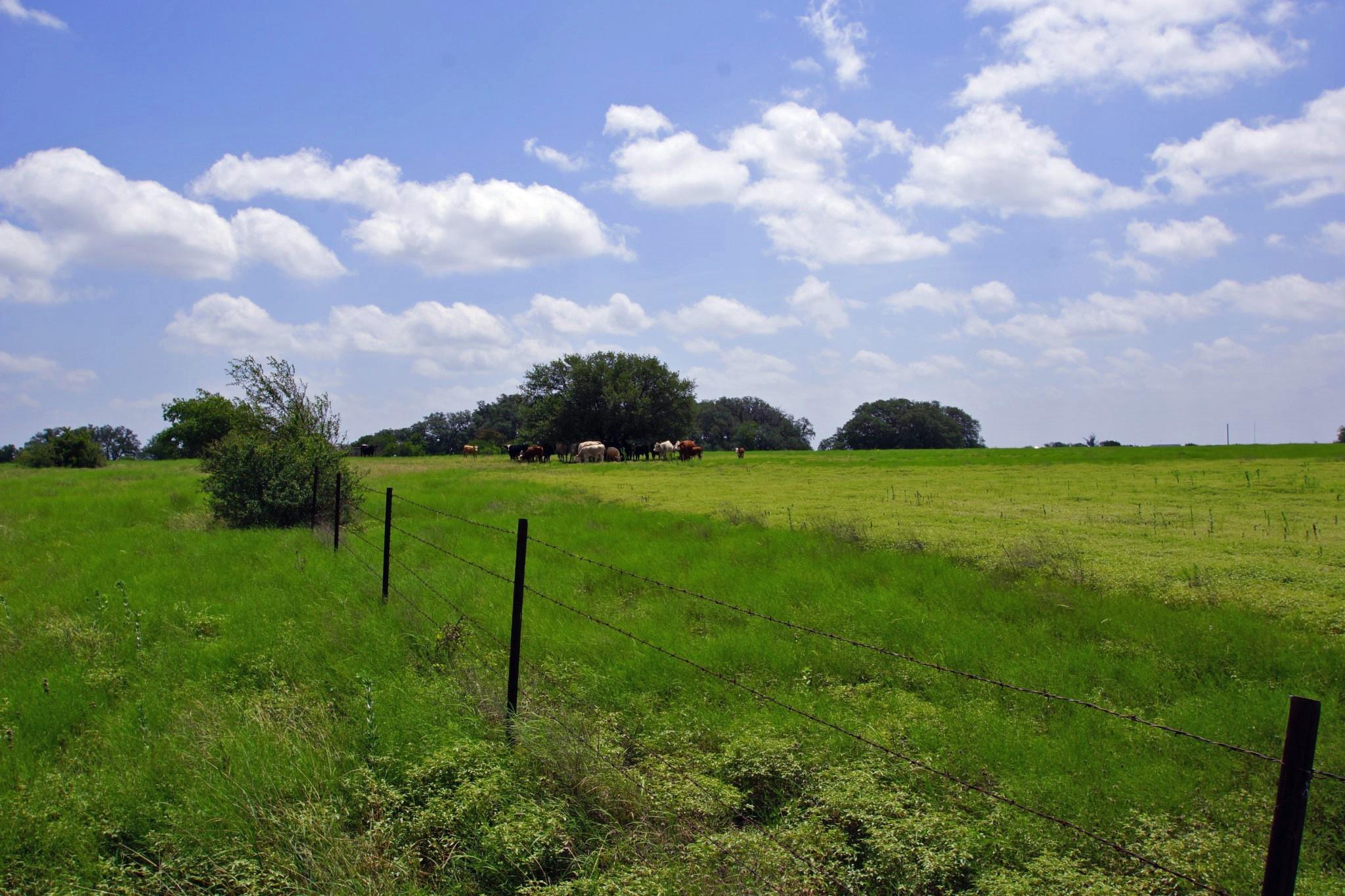 2002 County Road 276, Bertram, TX 78605