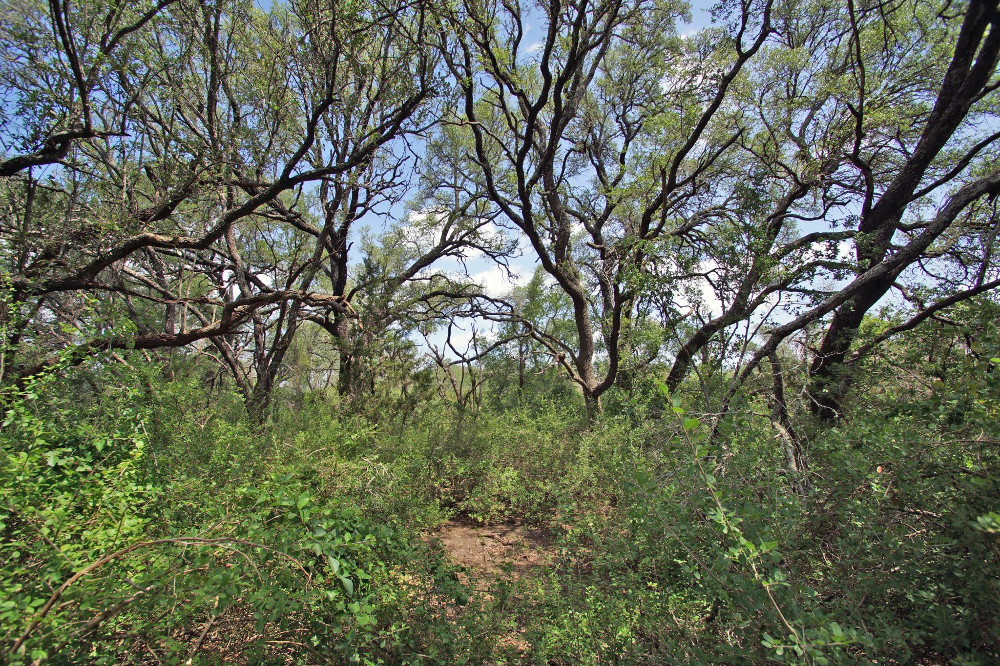 2002 County Road 276, Bertram, TX 78605