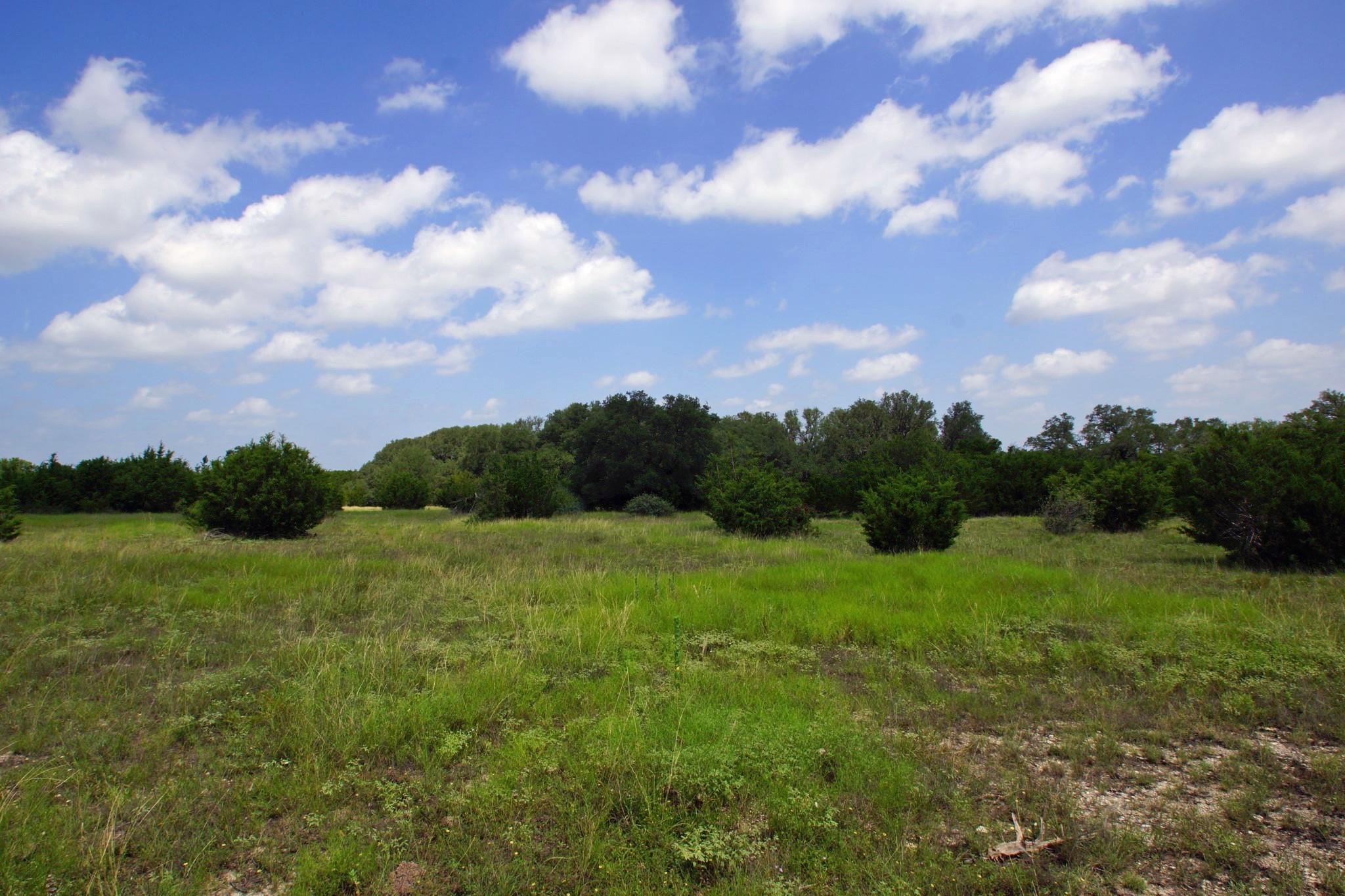 2002 County Road 276, Bertram, TX 78605