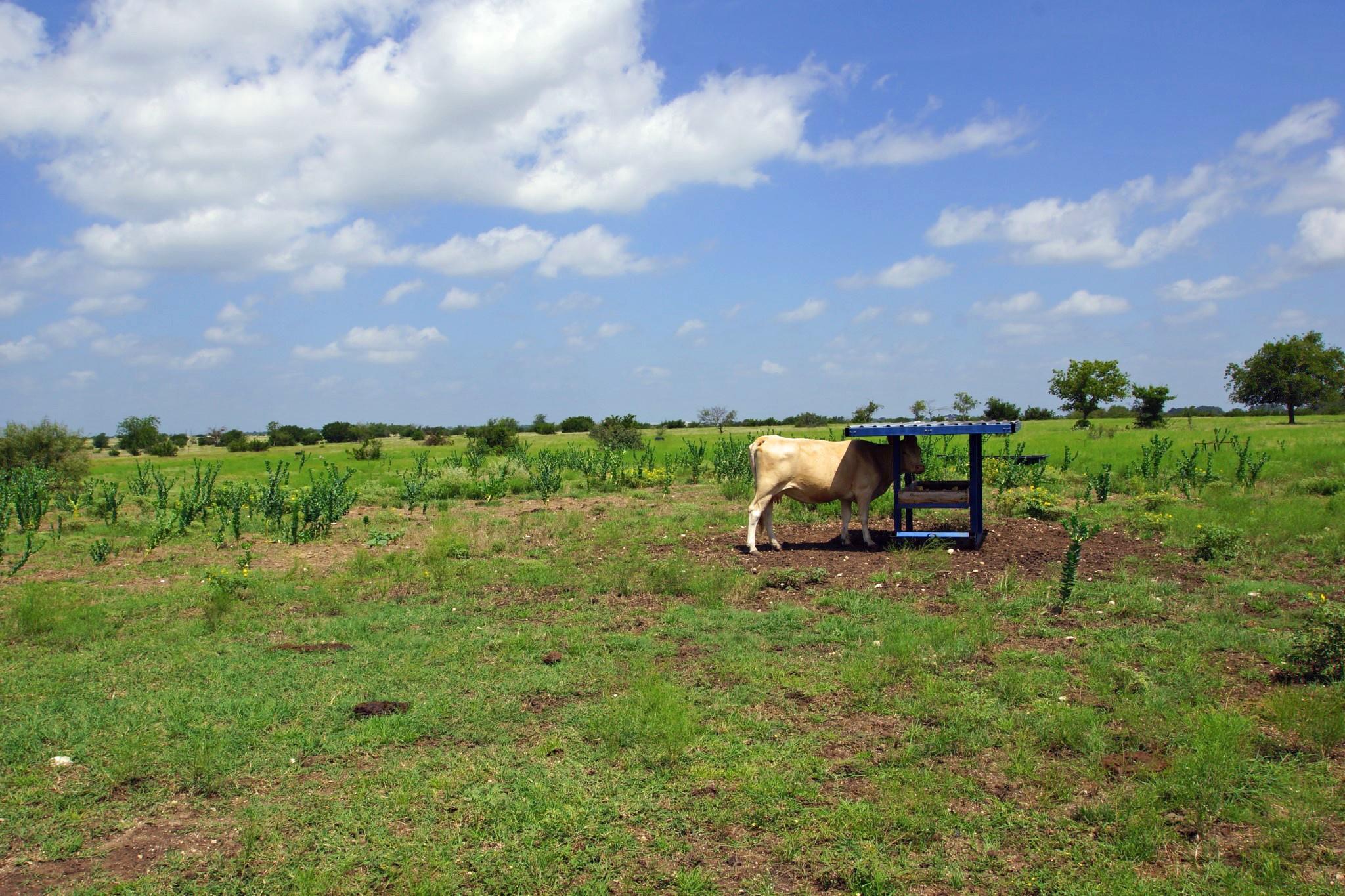 2002 County Road 276, Bertram, TX 78605