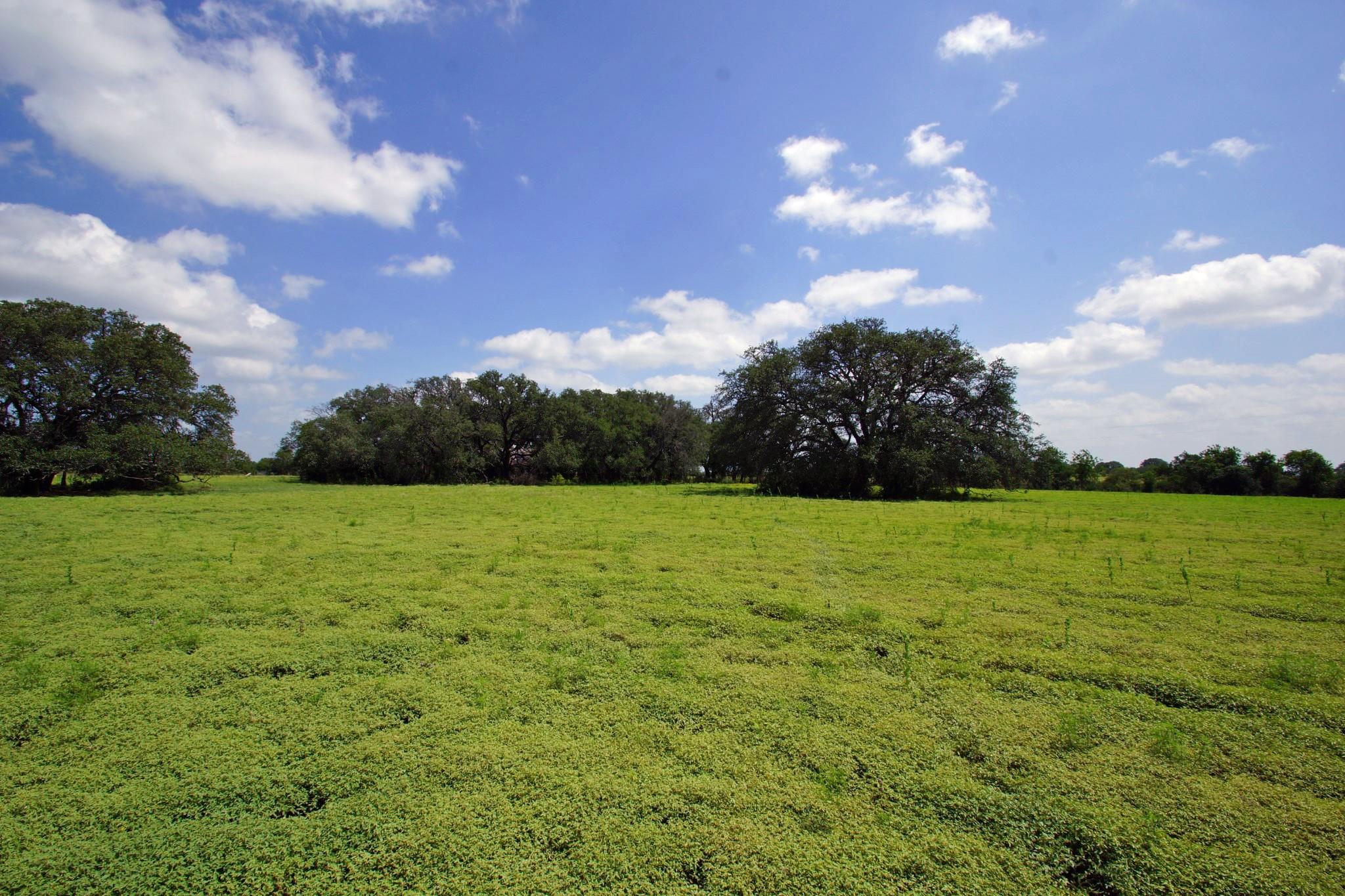 2002 County Road 276, Bertram, TX 78605