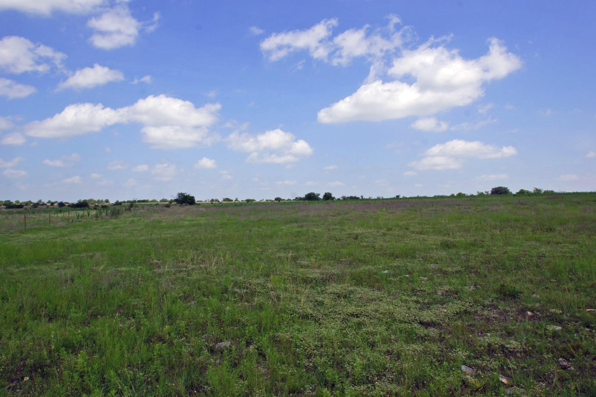2002 County Road 276, Bertram, TX 78605