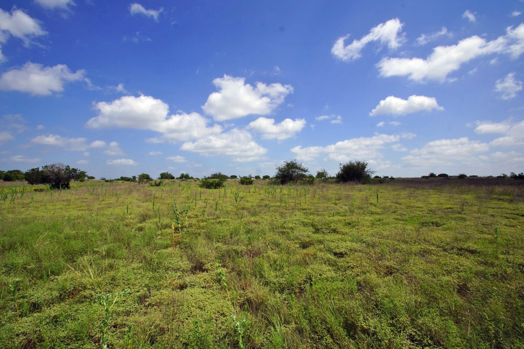 2002 County Road 276, Bertram, TX 78605