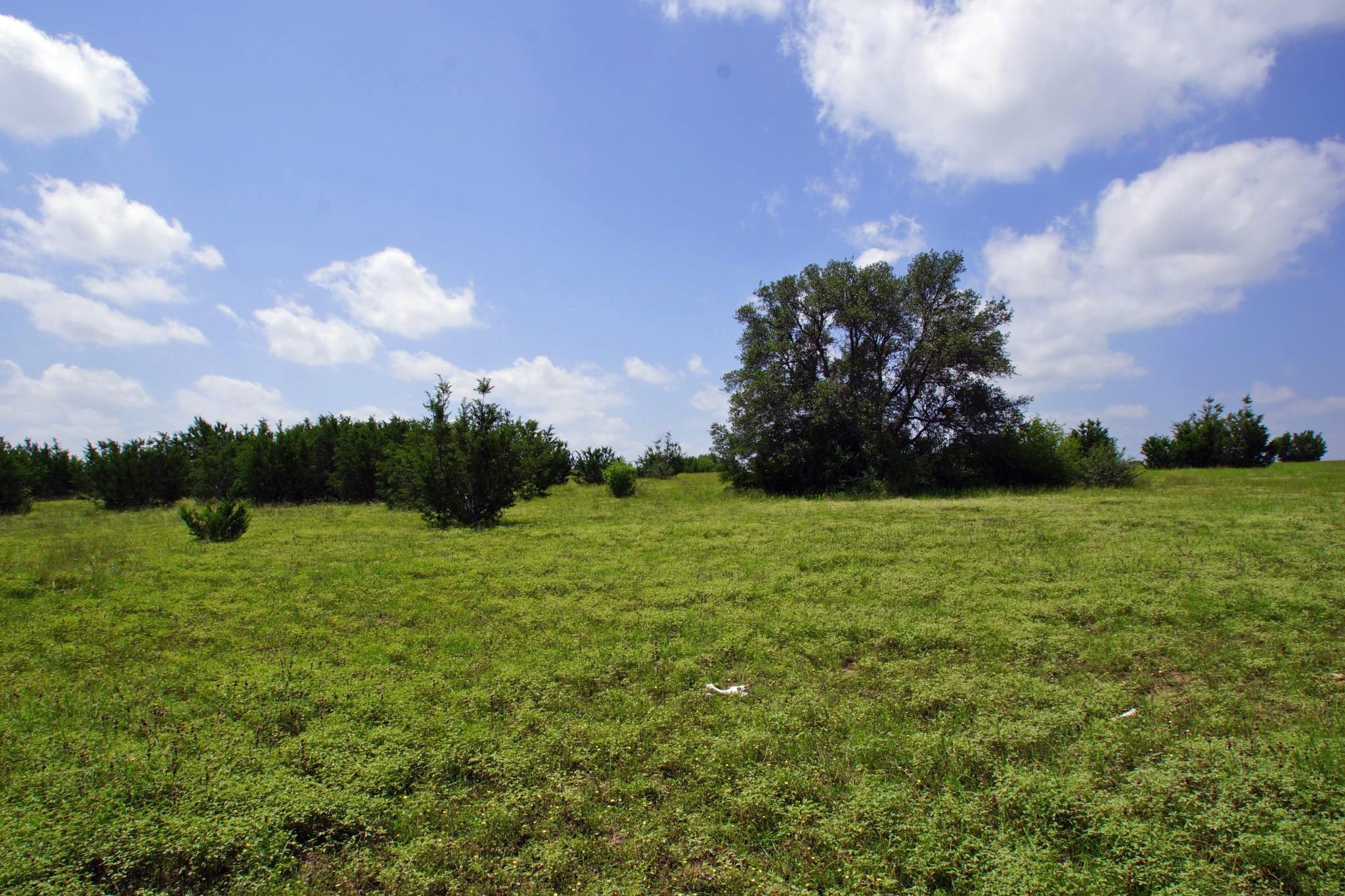 2002 County Road 276, Bertram, TX 78605