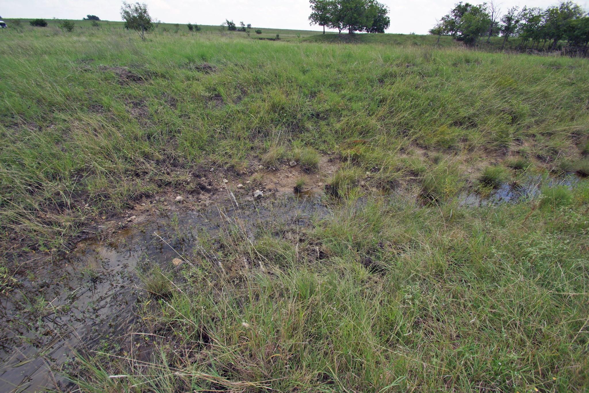 2002 County Road 276, Bertram, TX 78605