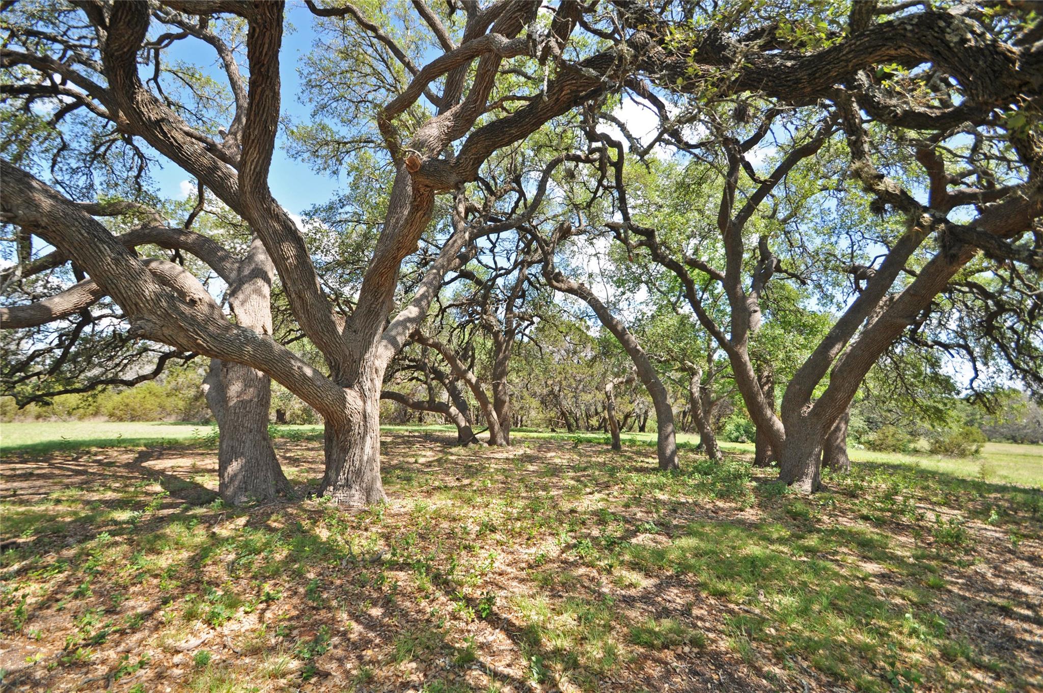 000 County Road 286 (Lot 2), Liberty Hill, TX 78642