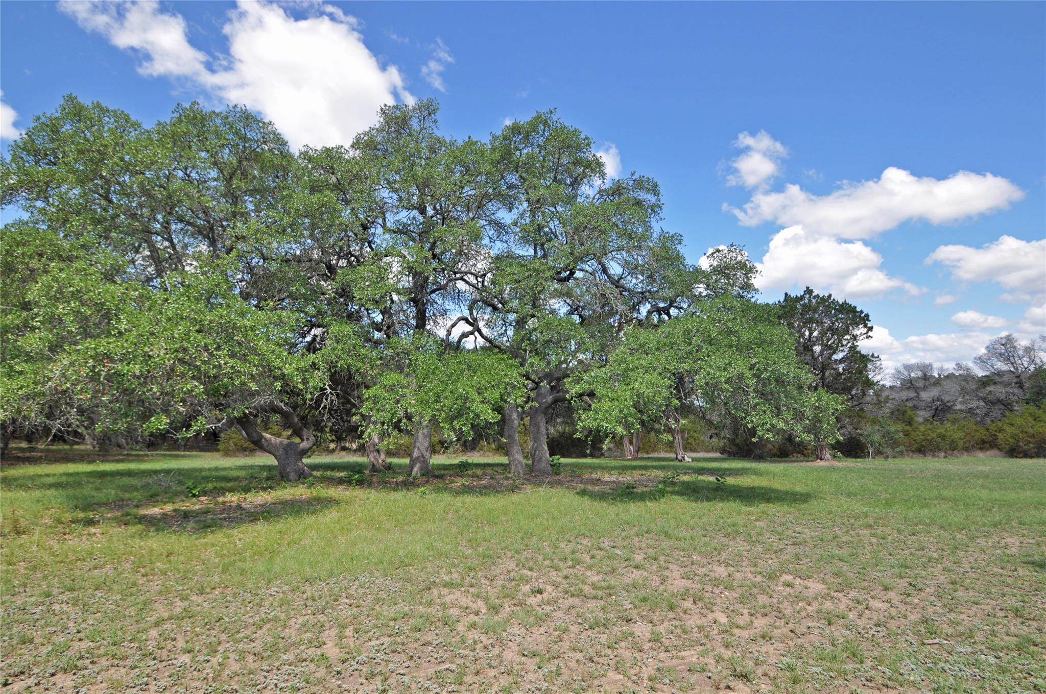 000 County Road 286 (Lot 2), Liberty Hill, TX 78642