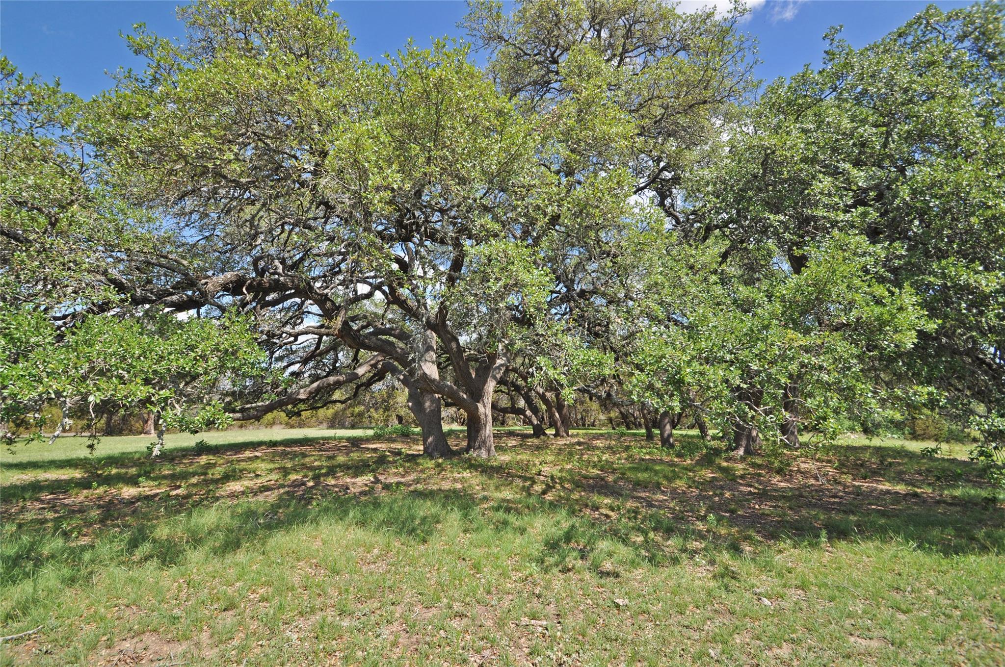 553 County Road 286, Liberty Hill, TX 78642
