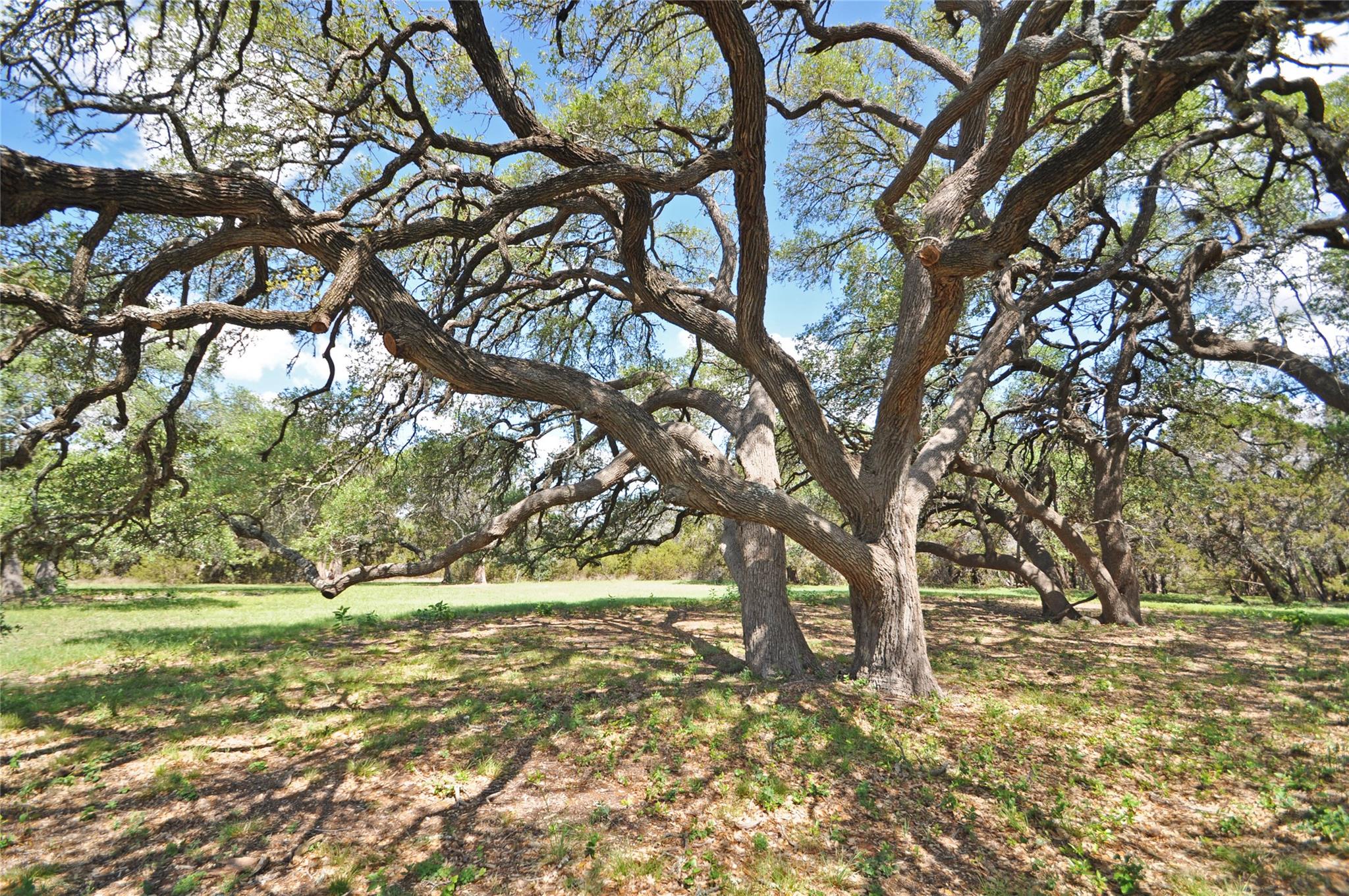 553 County Road 286, Liberty Hill, TX 78642