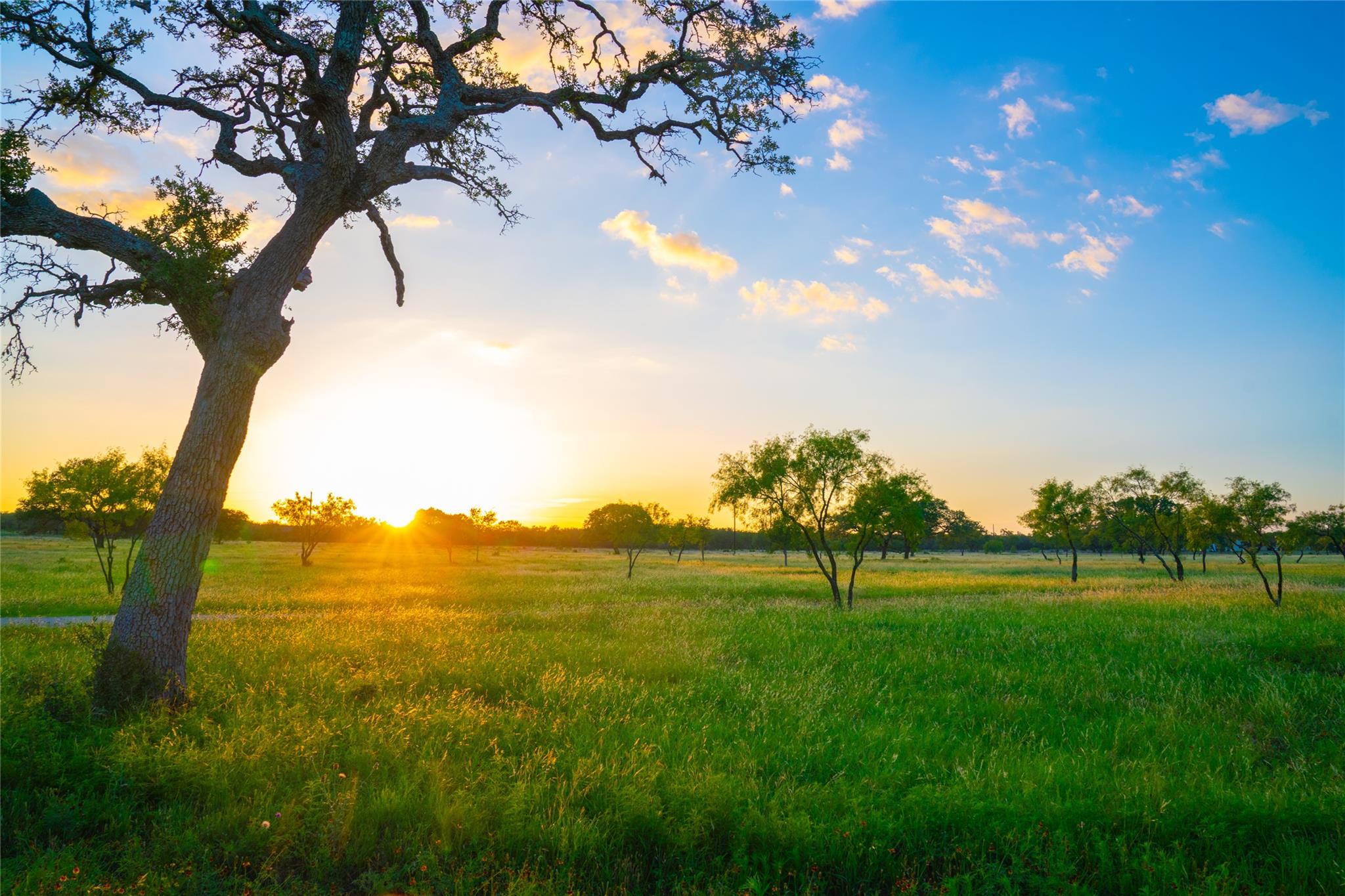0000 Golden Hour Ranch, Johnson City, TX 78636