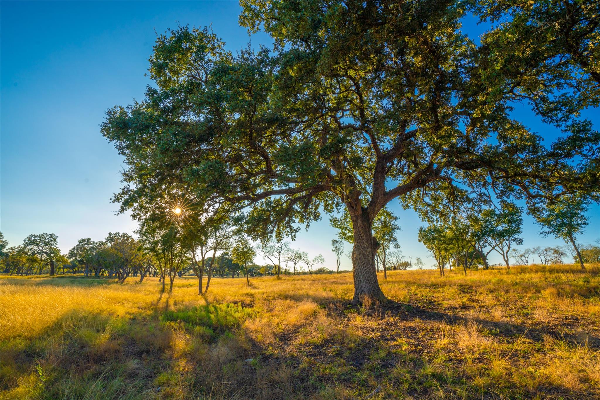 0000 Golden Hour Ranch, Johnson City, TX 78636
