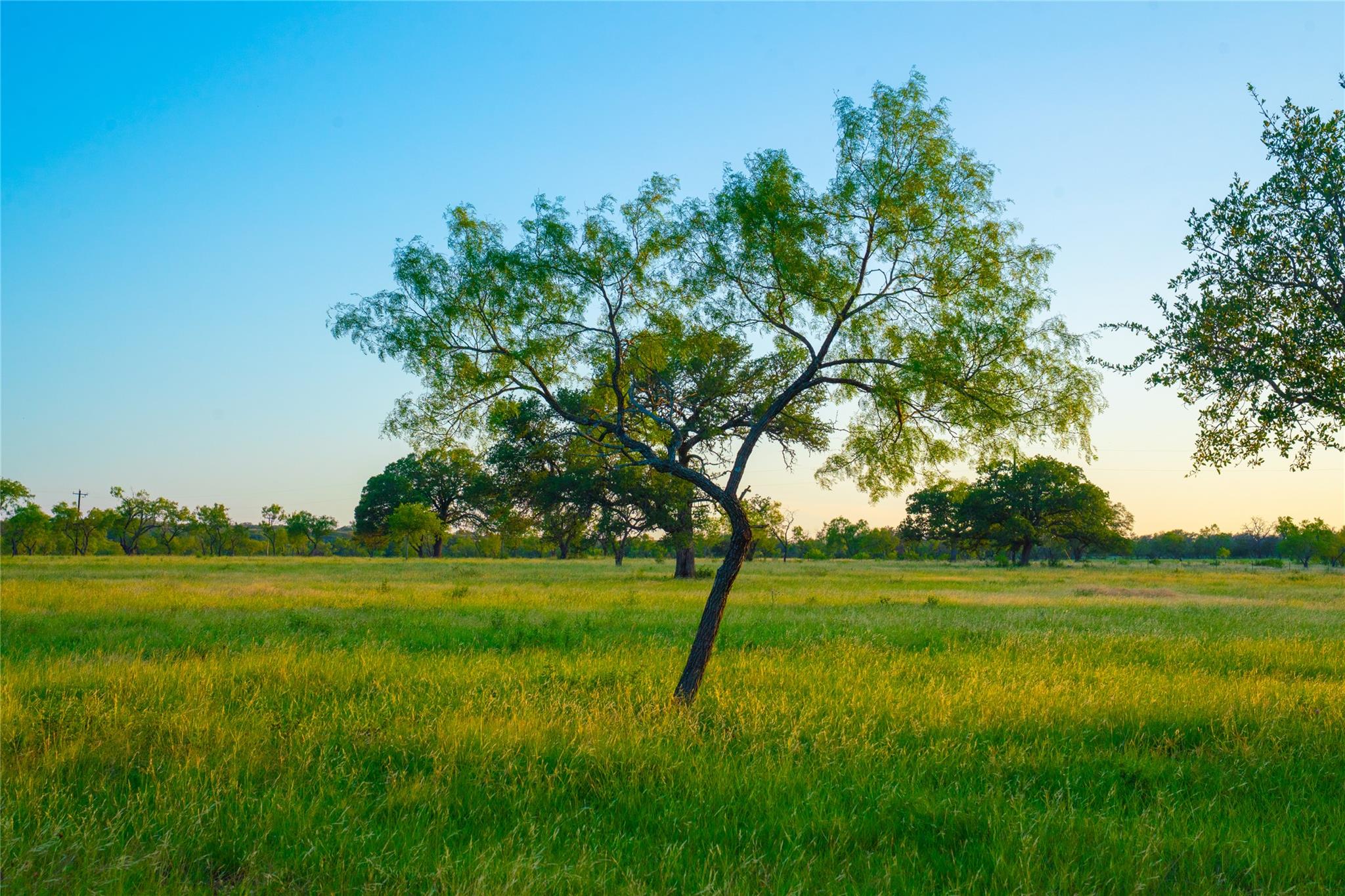 0000 Golden Hour Ranch, Johnson City, TX 78636